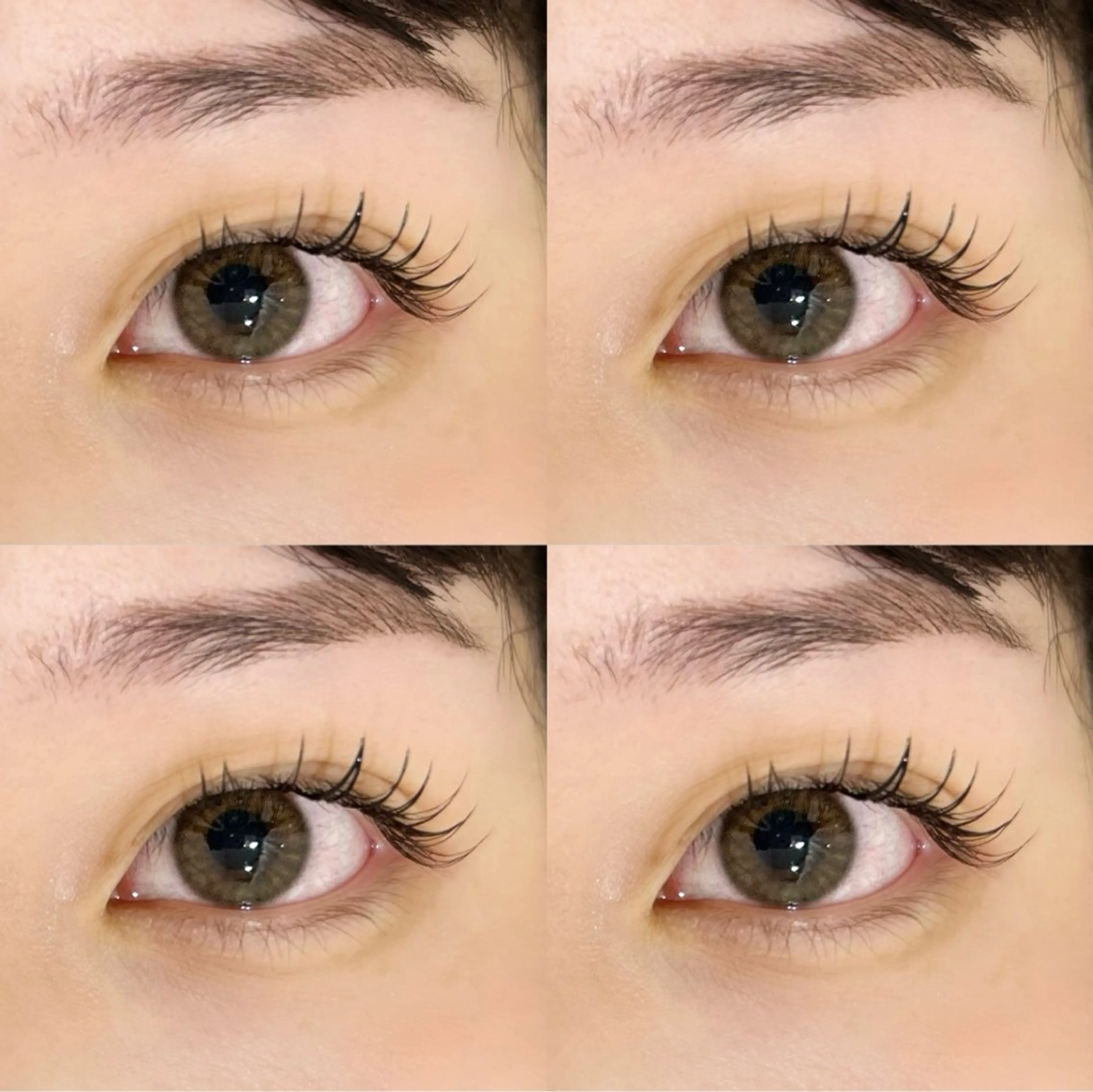 【初めての方限定】⭐︎フラットラッシュ⭐︎100本の写真