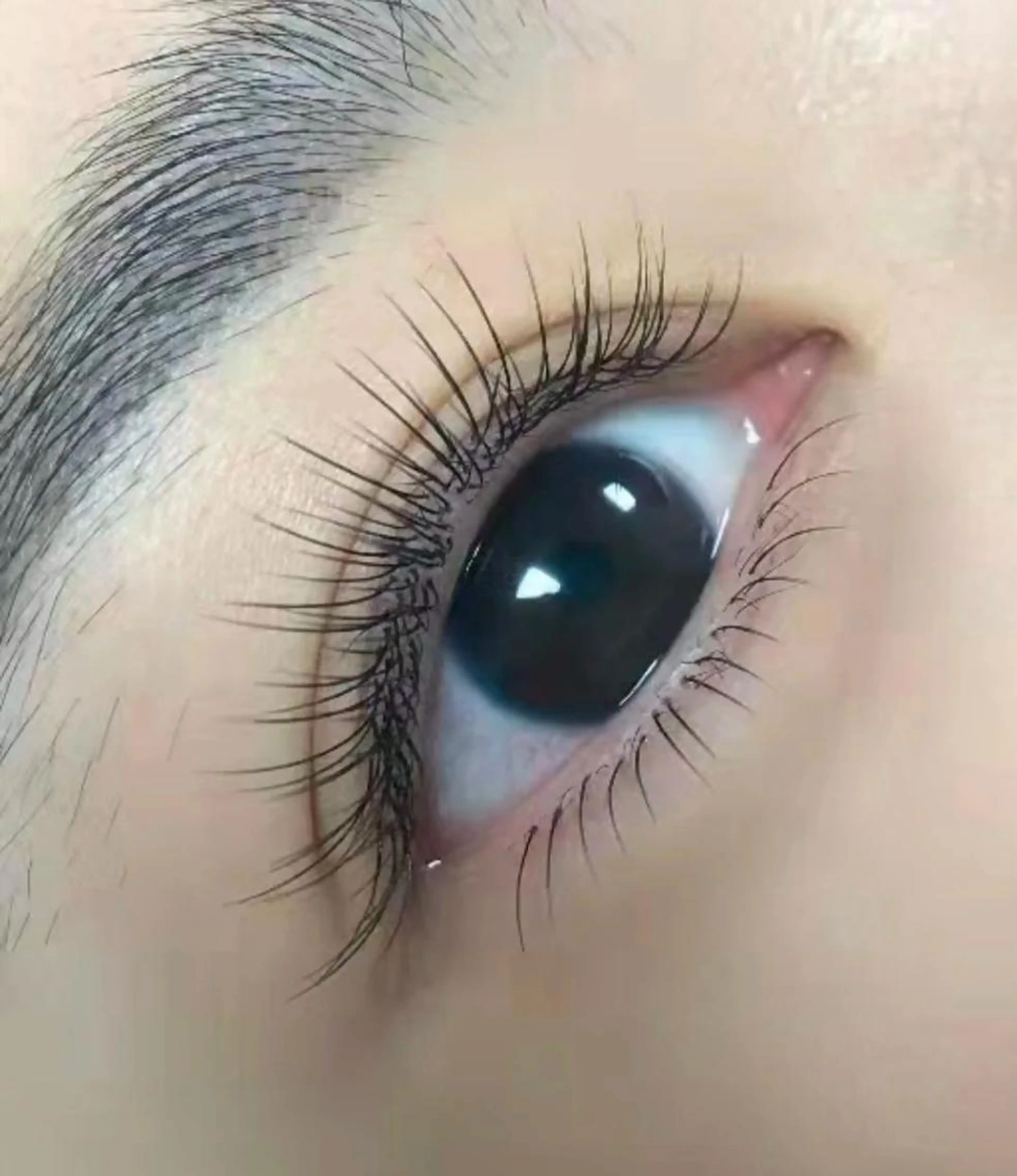 フラットラッシュ上120本下30本の写真