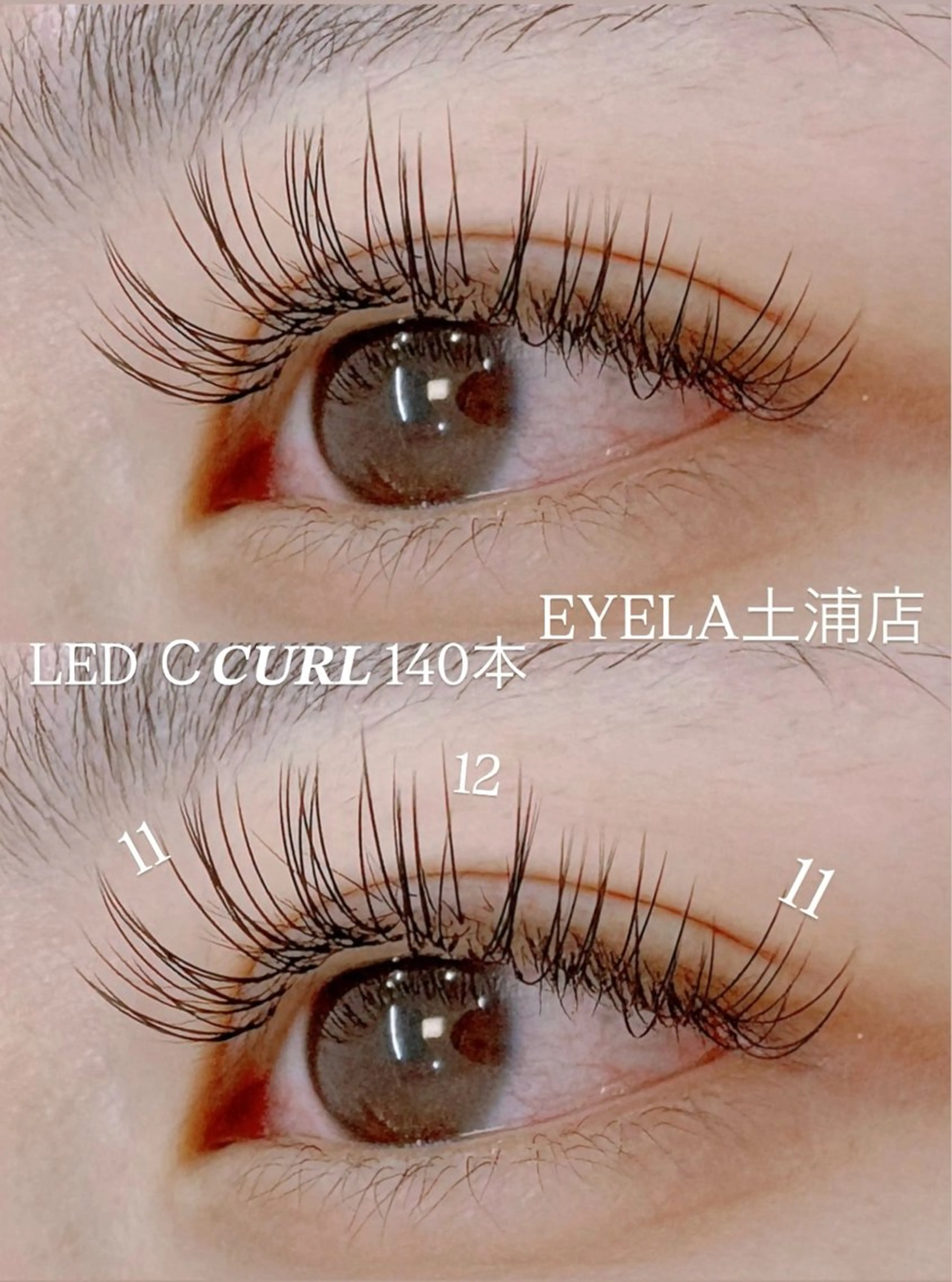 マツエク・マツパ Cカール キュート フラットラッシュ EYELA 土浦店 幕内のマツエク・マツパデザイン