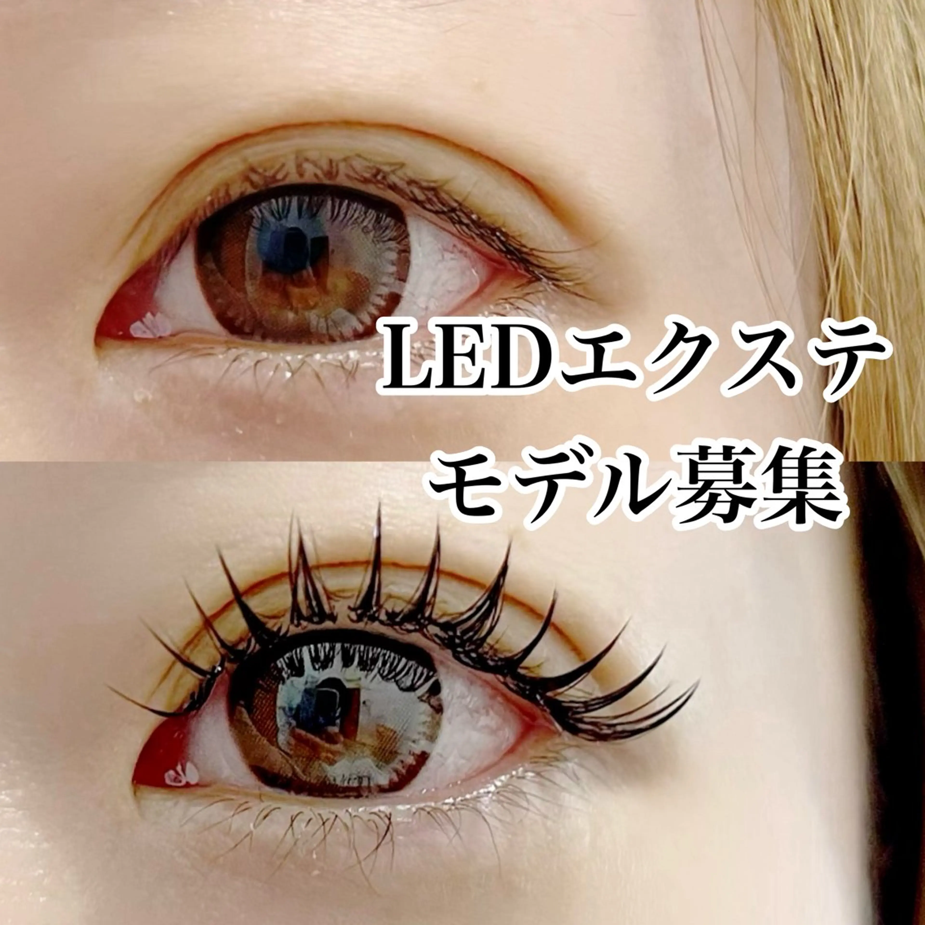 マツエク・マツパ Eyelash  Salon  Camellia所属・カメリア ワダのマツエク・マツパデザイン