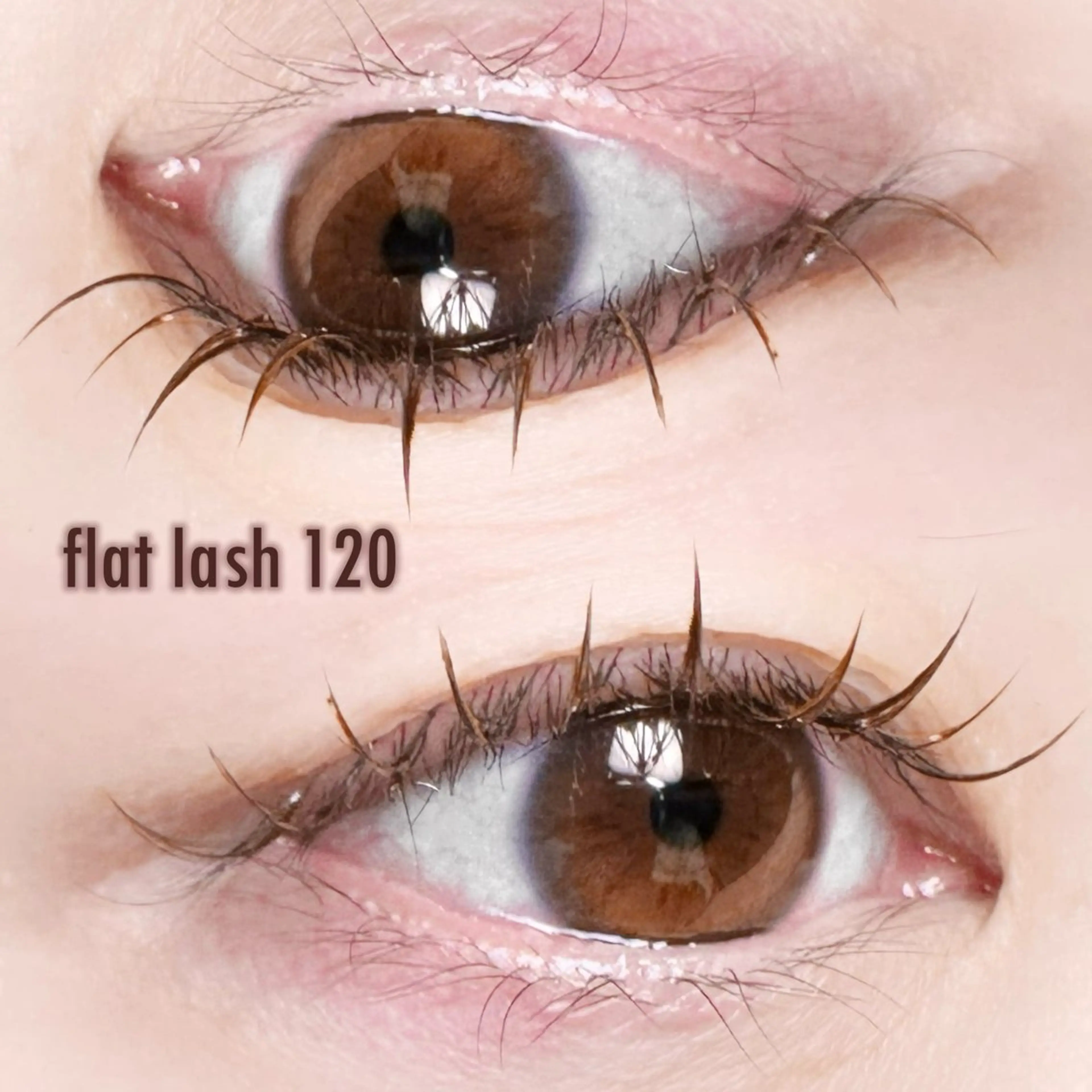 💗フラットラッシュつけ放題60分(ご新規様オフ込み、約120本)💗の写真