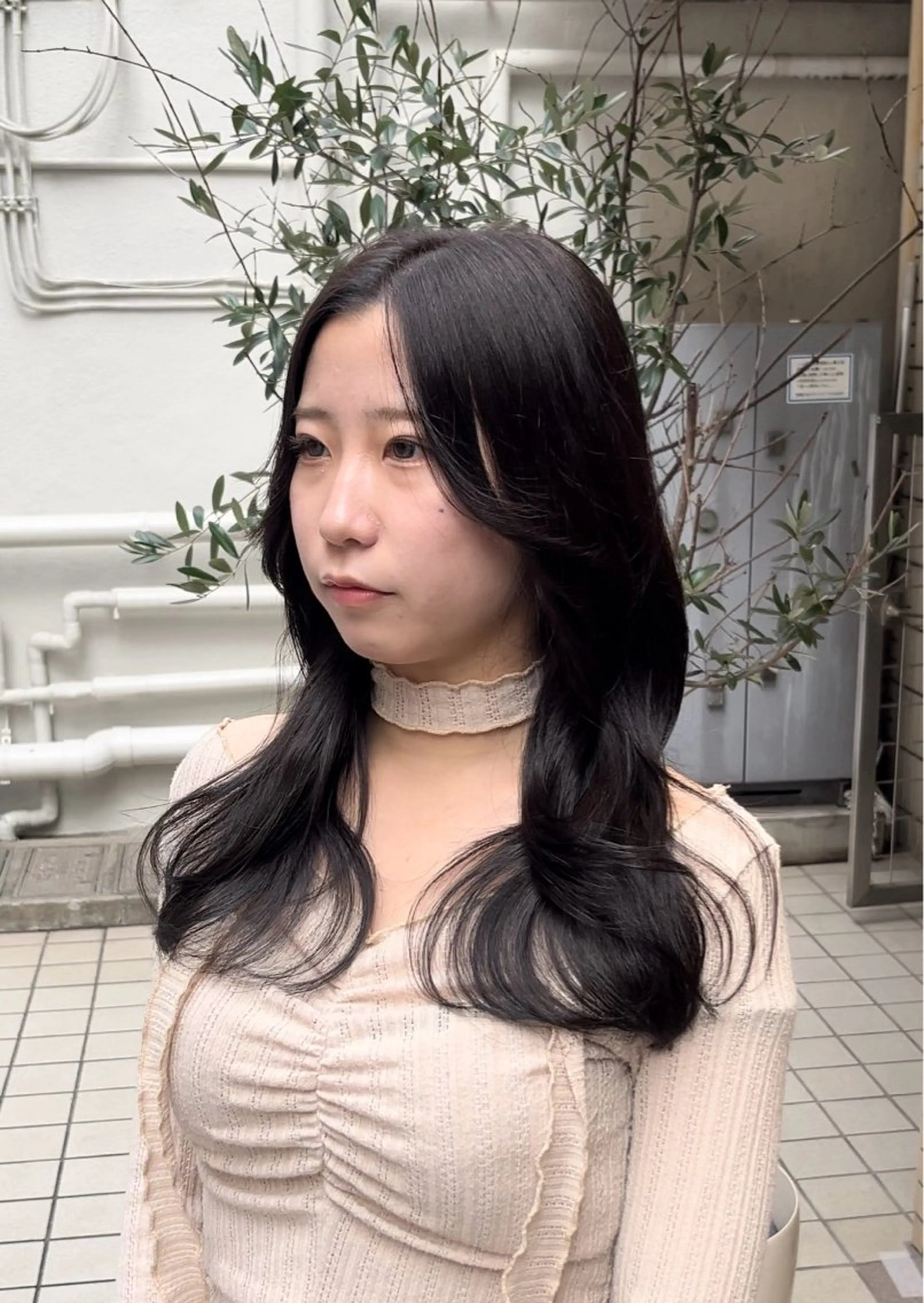 【人気𝒩𝑜.𝟐】 🫧イルミナカラー+カット+シルクトリートメント+超音波アイロン付🫧の写真
