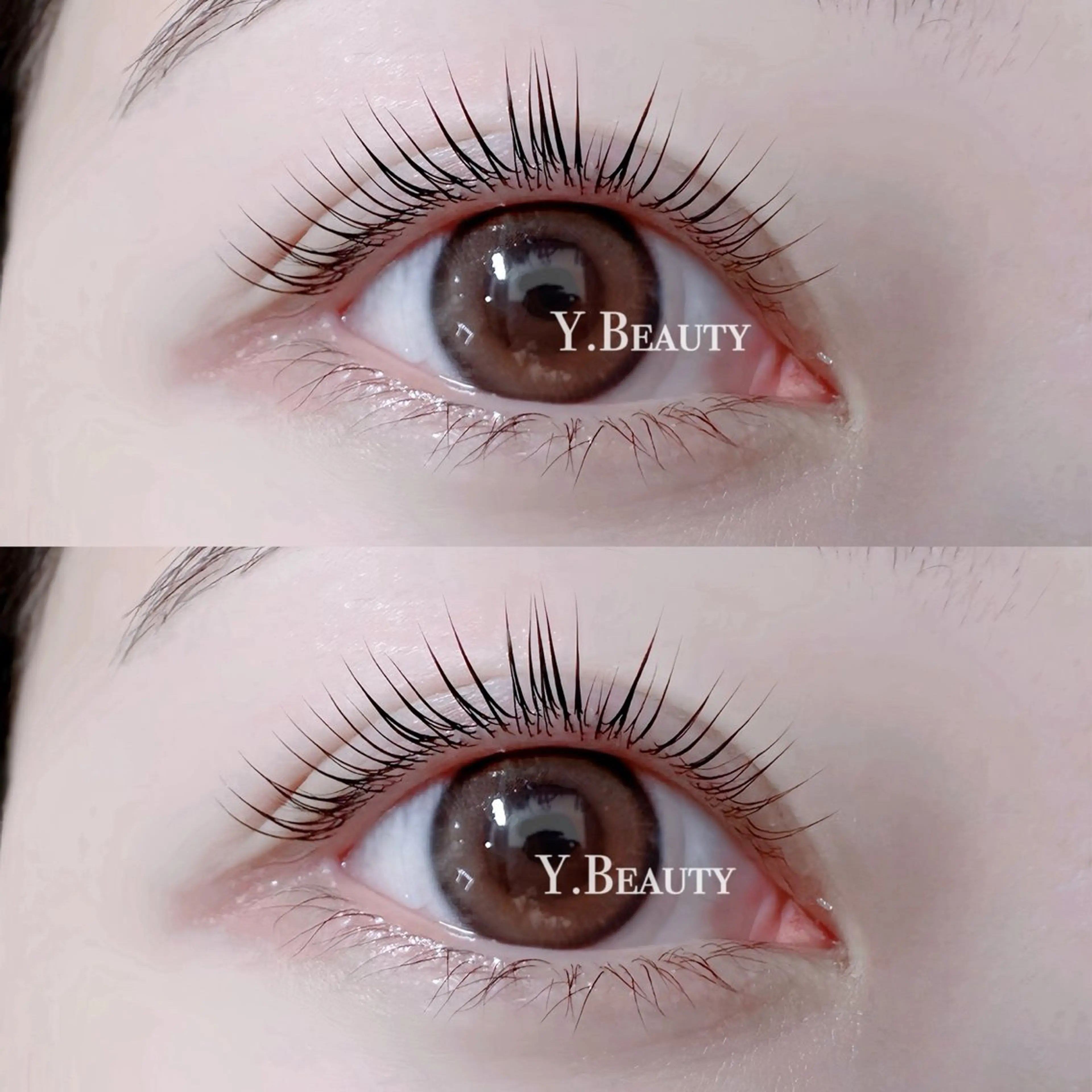 マツエク・マツパ Y.Beauty 池袋のマツエク・マツパデザイン