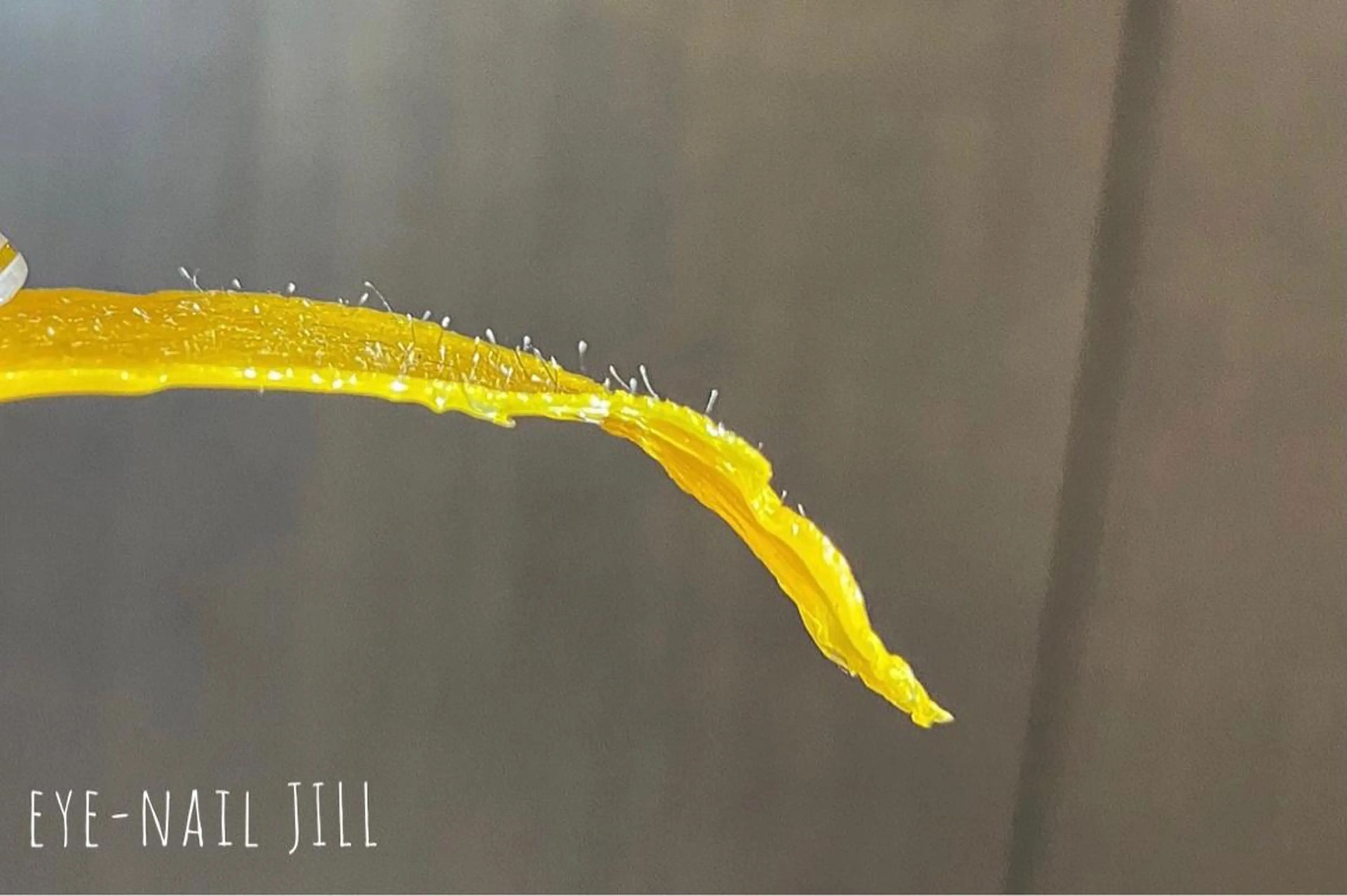 脱毛 JILL sa-yaのネイルデザイン