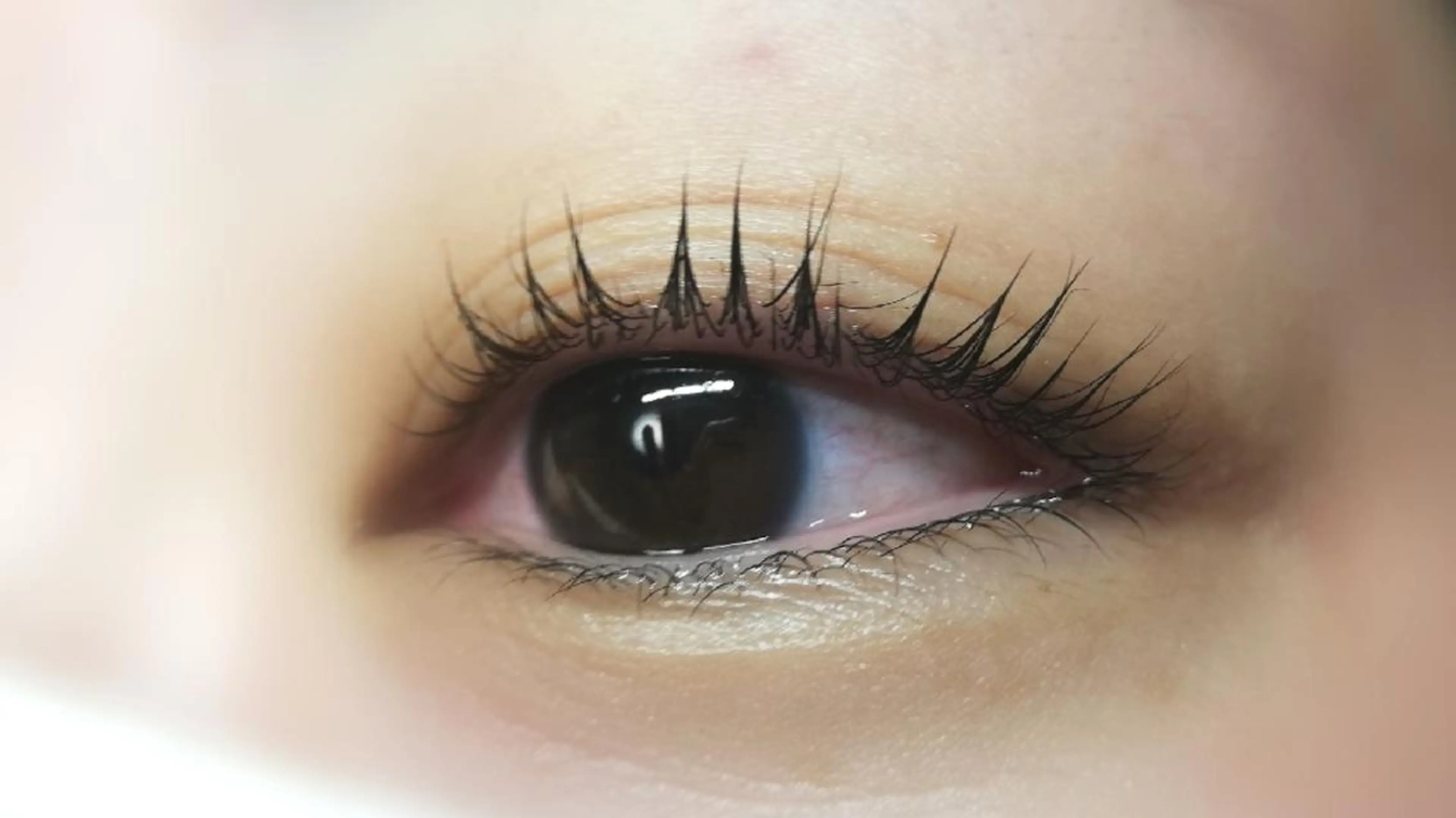 マツエク・マツパ Dカール angelux 所属・完全個室サロン🌹 angelux🌹のマツエク・マツパデザイン