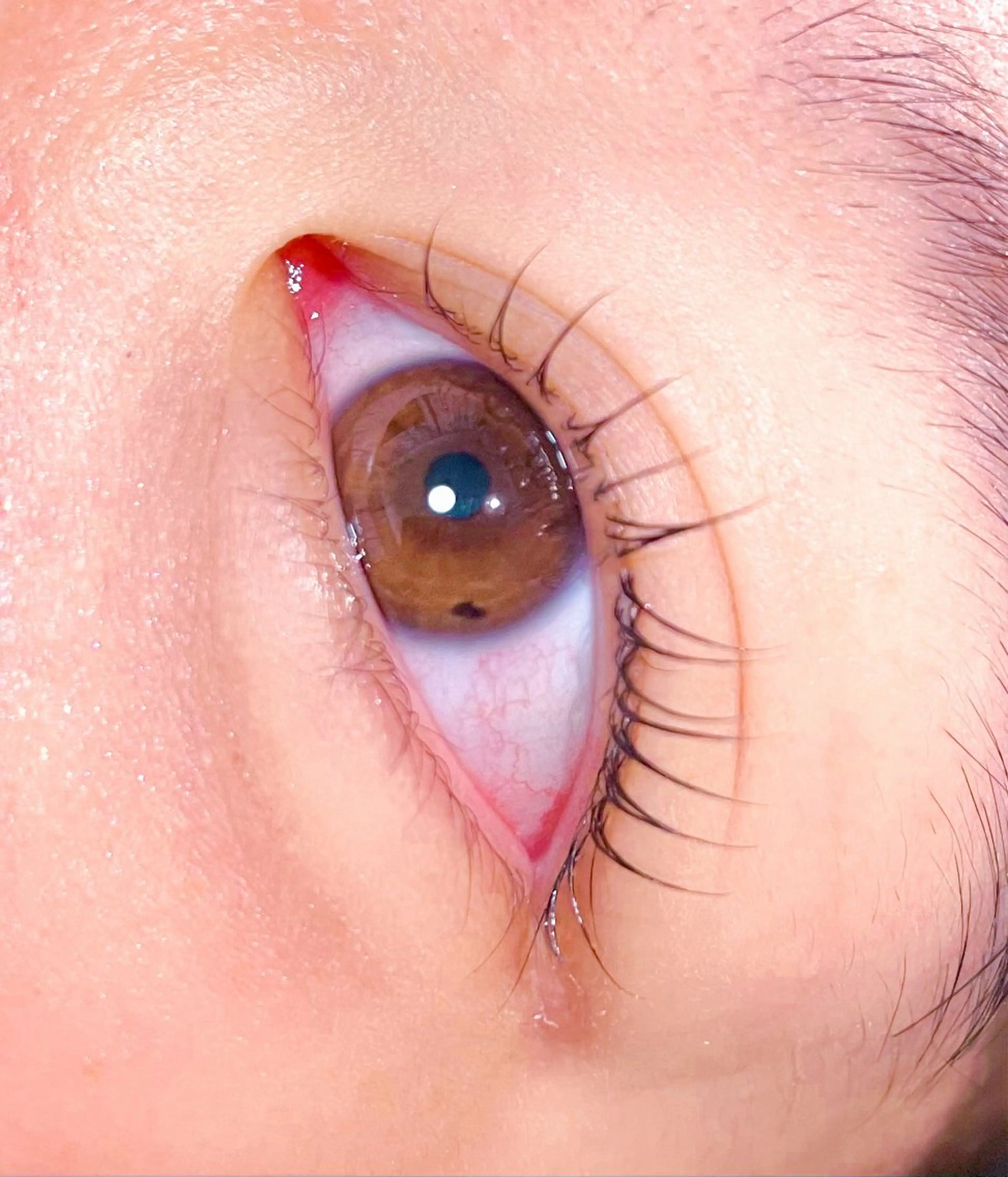 マツエク・マツパ eye salon &me.🎄⋆˙⟡のマツエク・マツパデザイン