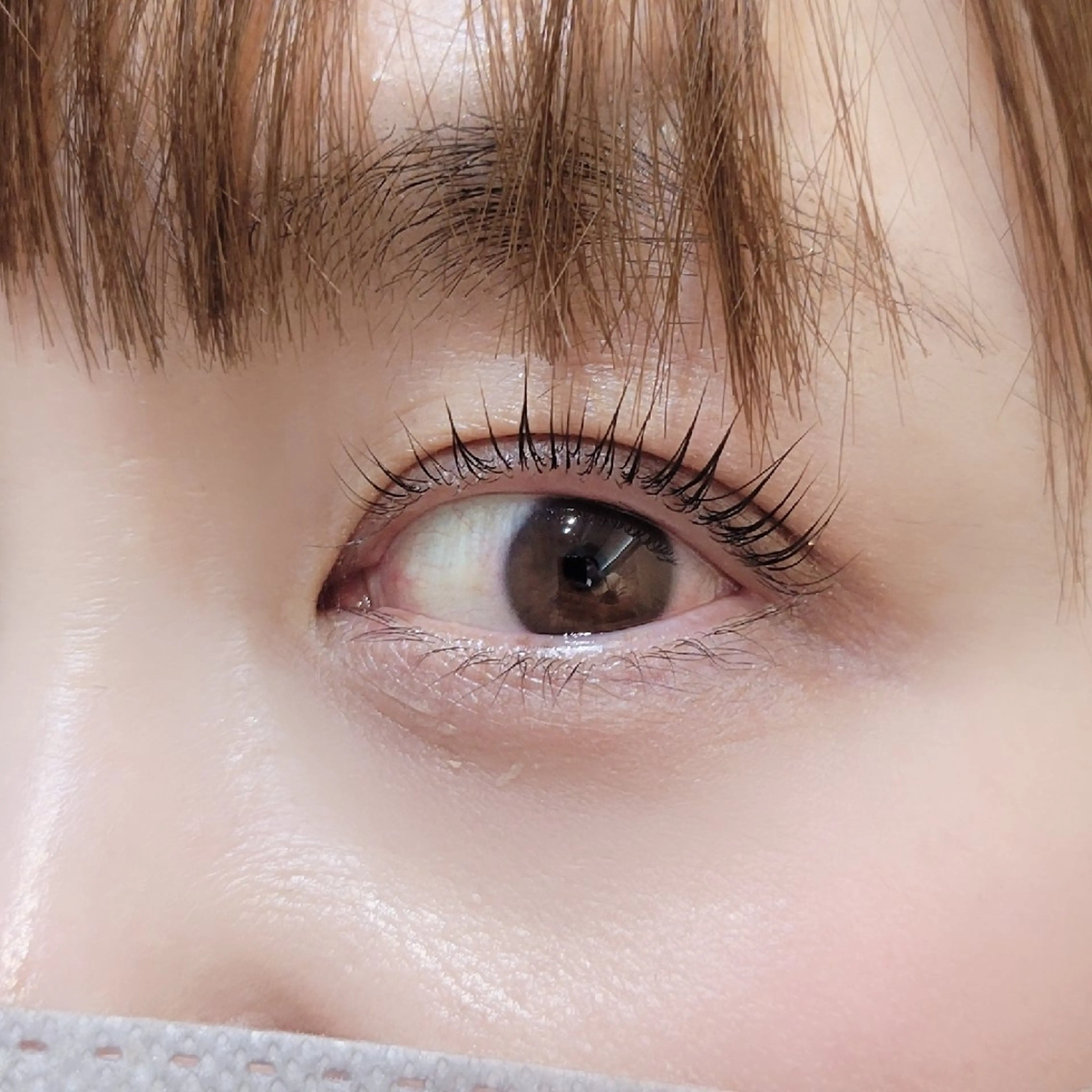 ノーマルまつ毛パーマ👁の写真