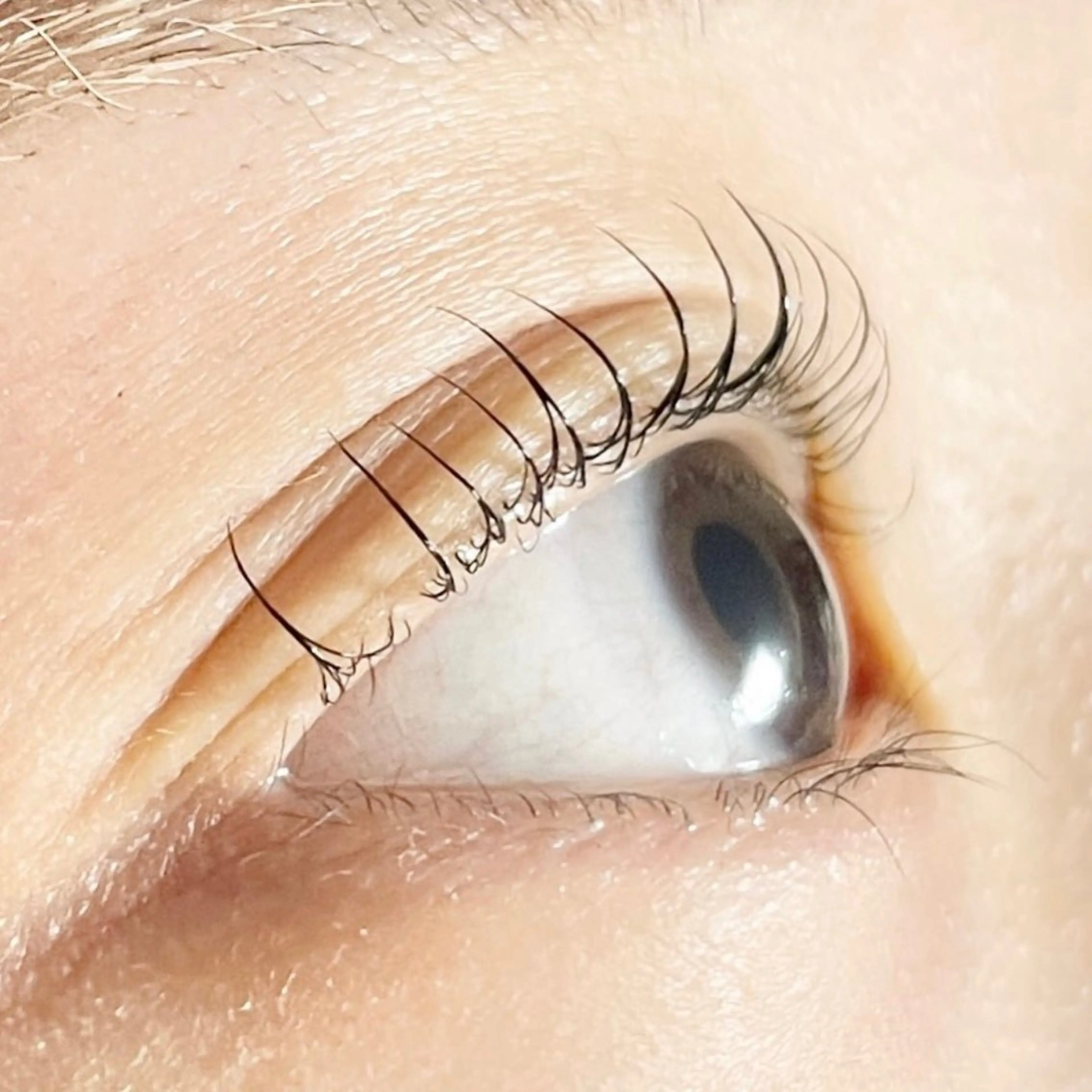 マツエク・マツパ TAKEO🖤 マリーテレジア藤が丘のマツエク・マツパデザイン