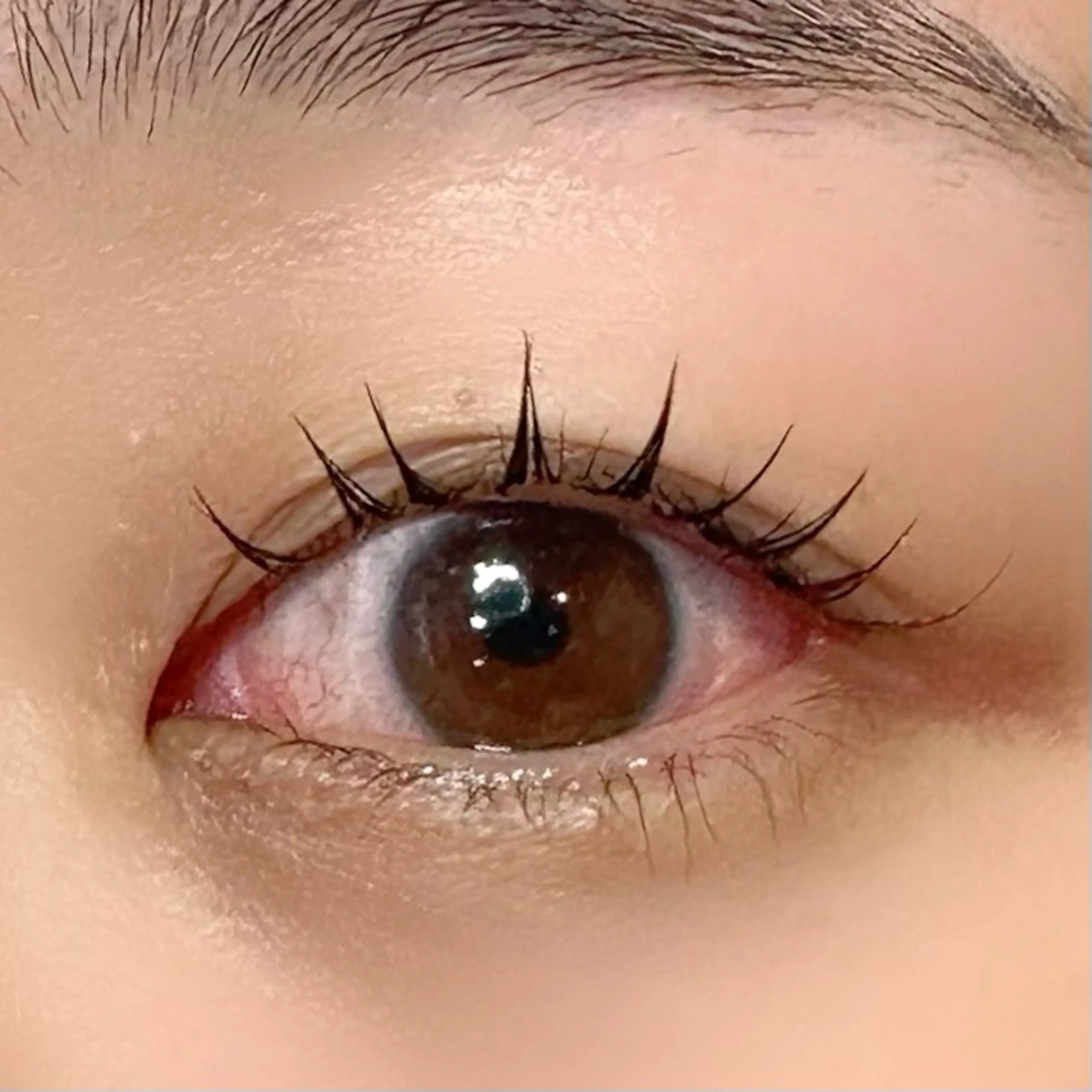【エクステ×パーマ】LED フラットラッシュ 80本の写真