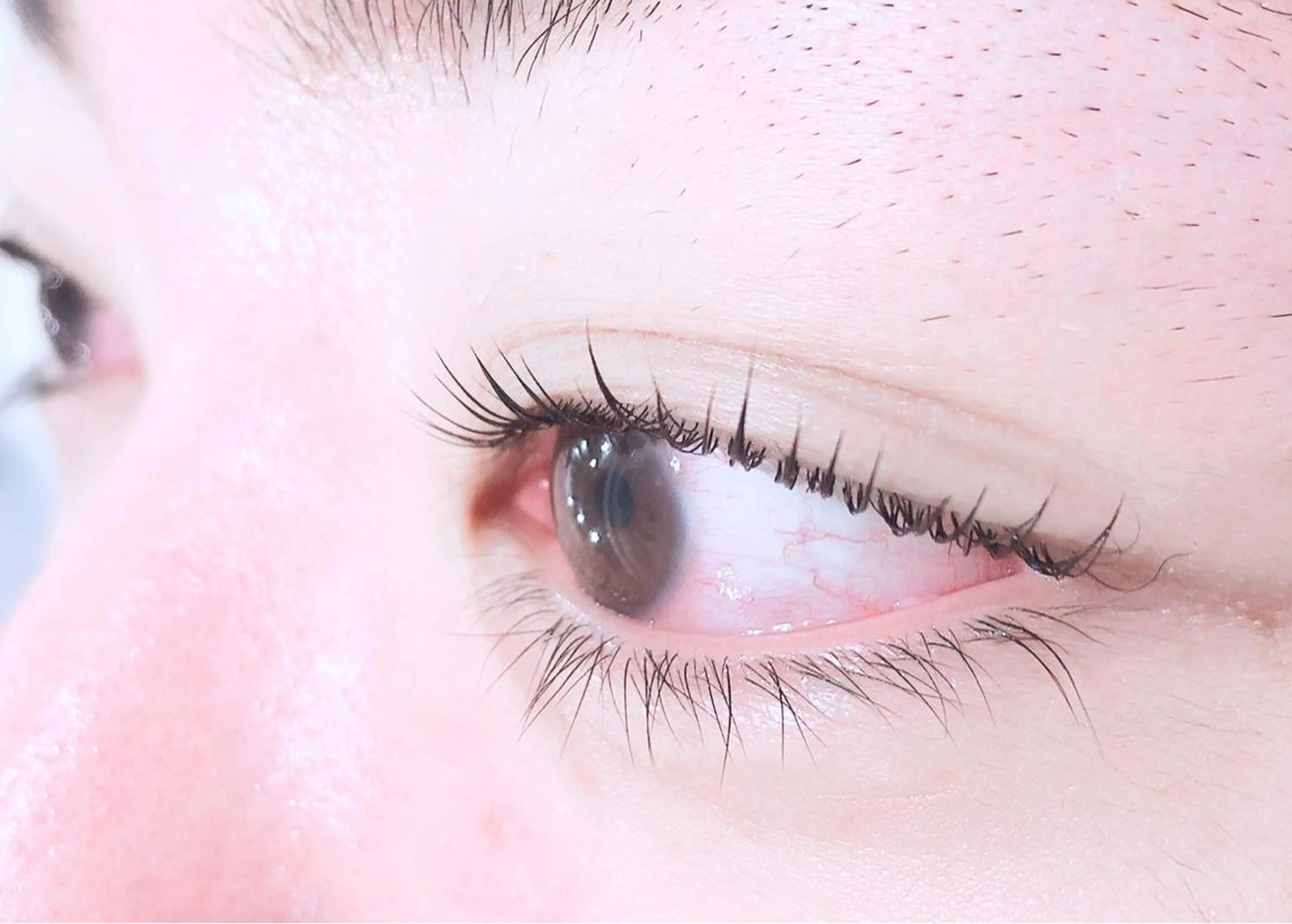 マツエク・マツパ laera 佐藤のヘアスタイル