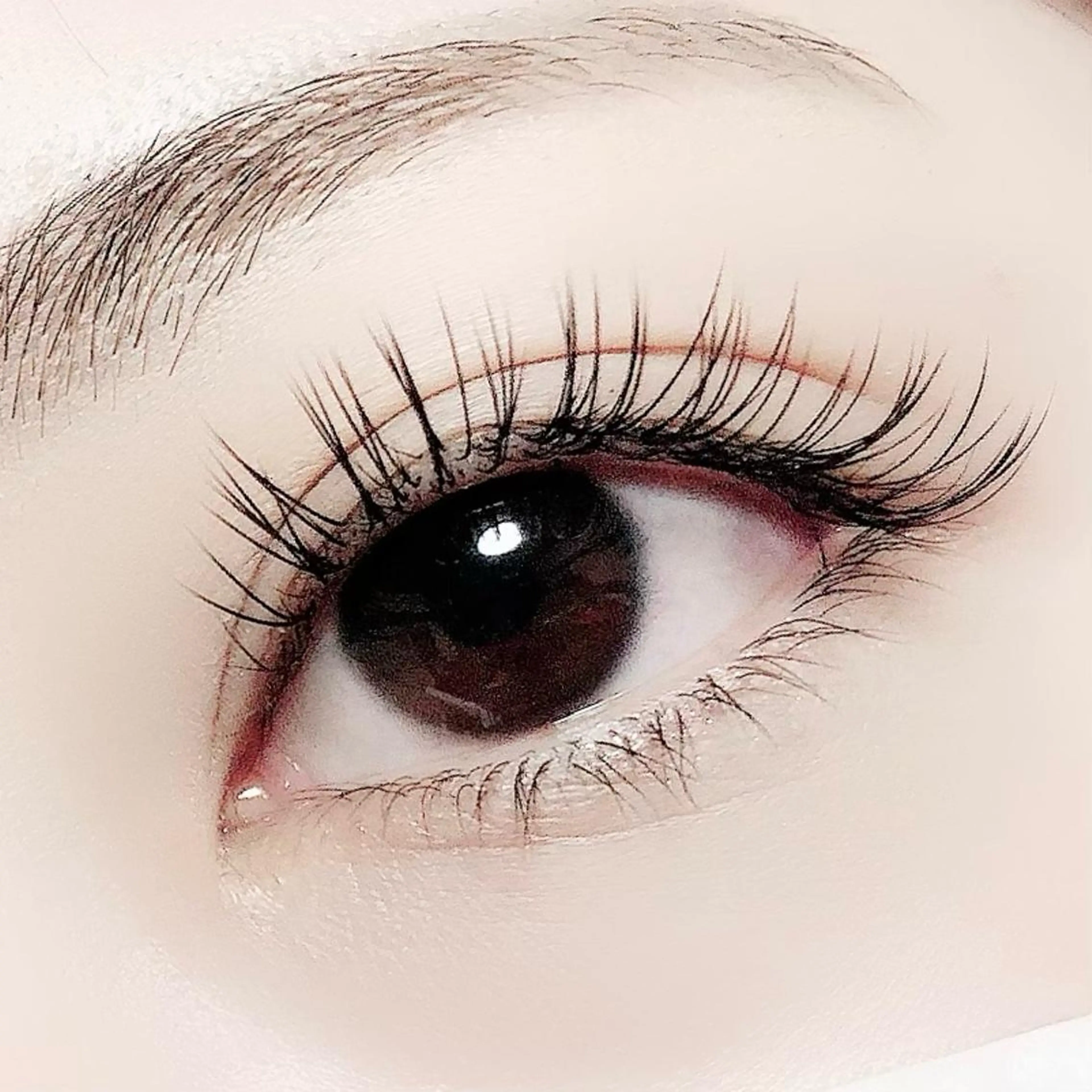 マツエク・マツパ Hase　本八幡 🧸マツエク専門🧸のマツエク・マツパデザイン