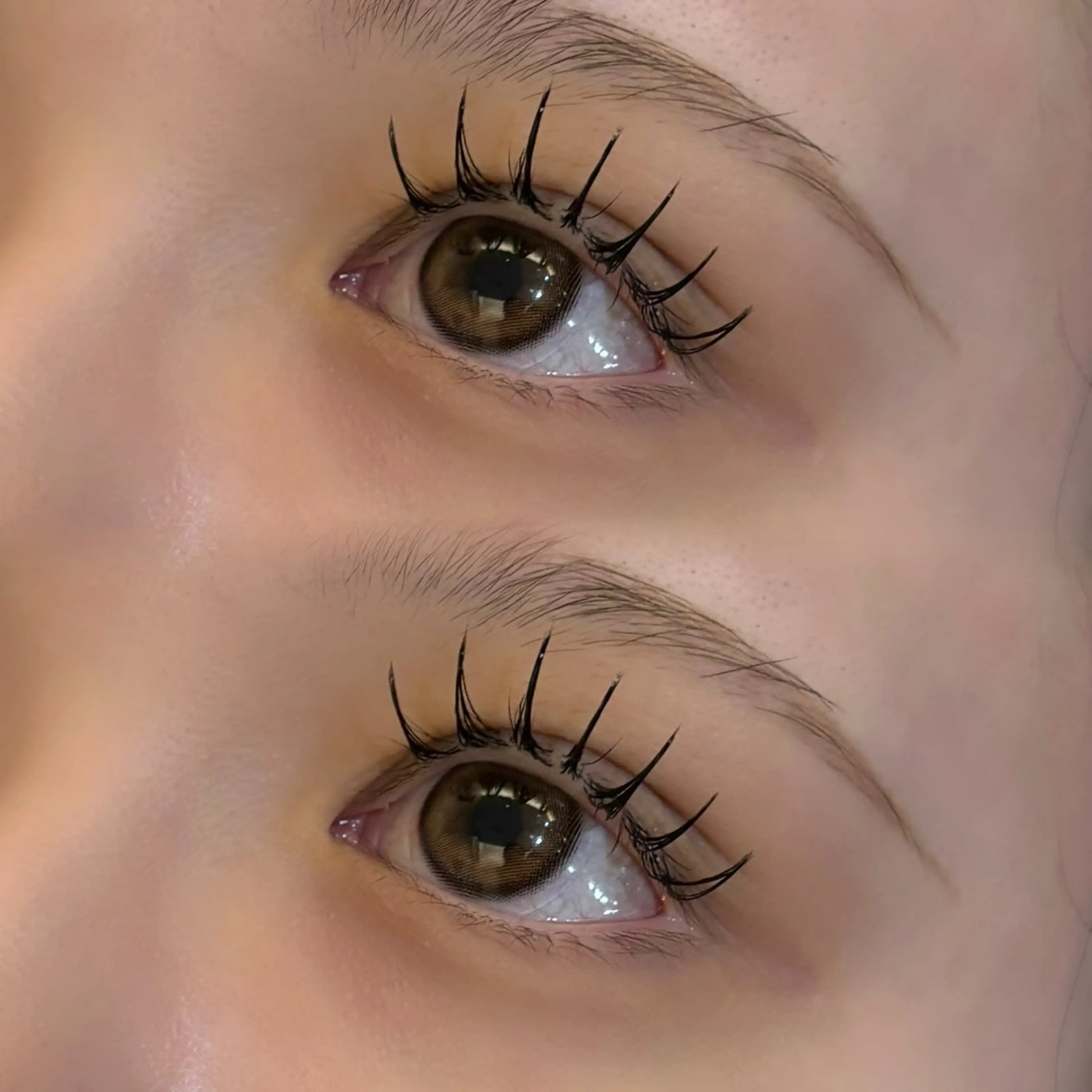 オフ+マツエク100~120本🖤束間美容液コーティング付き🎀((セーブルorフラット))の写真