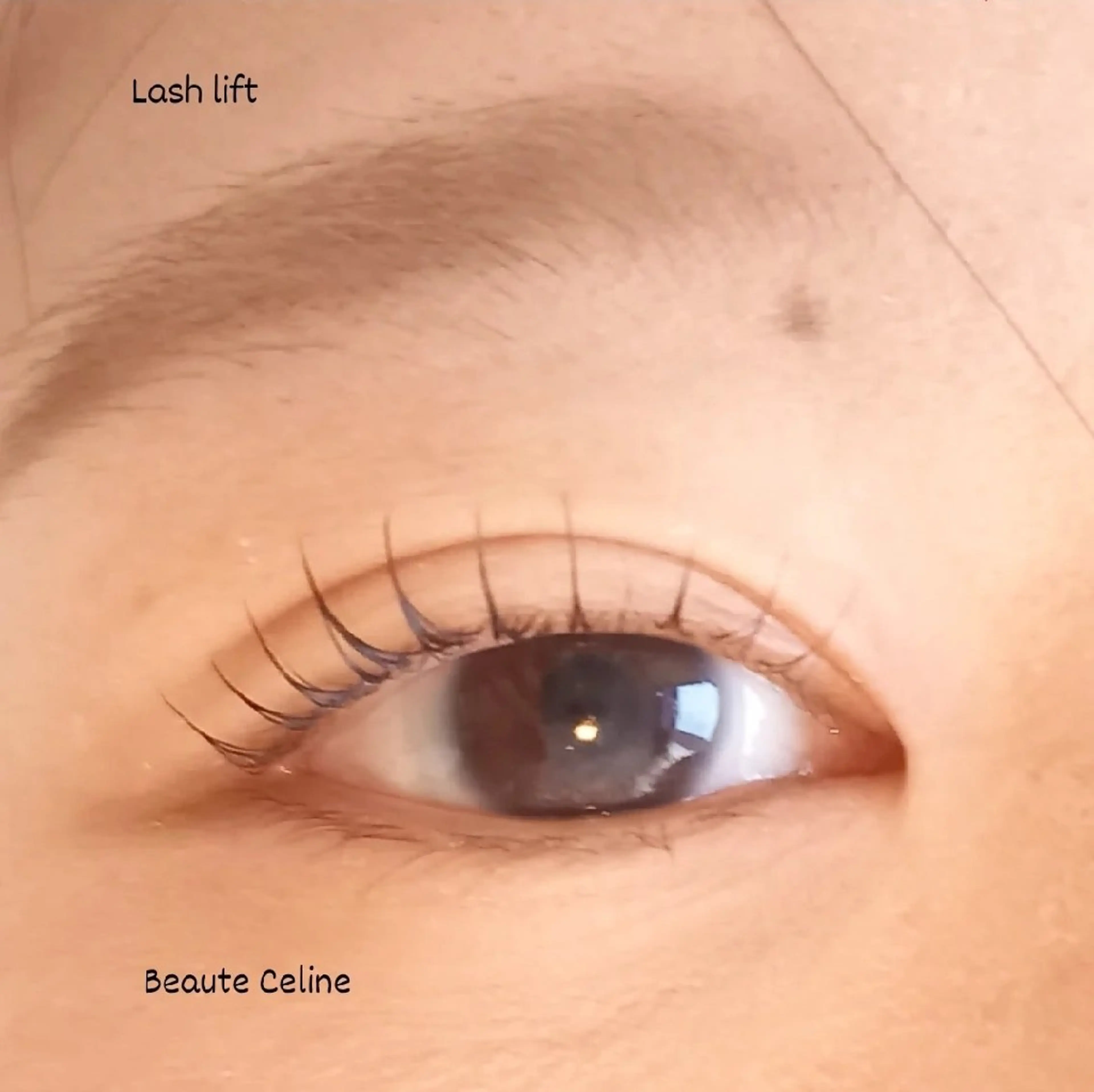 マツエク・マツパ マツパ beaute.celine所属・ぱっちりパーマ🌛 ﾎﾞｰﾃCelineのマツエク・マツパデザイン