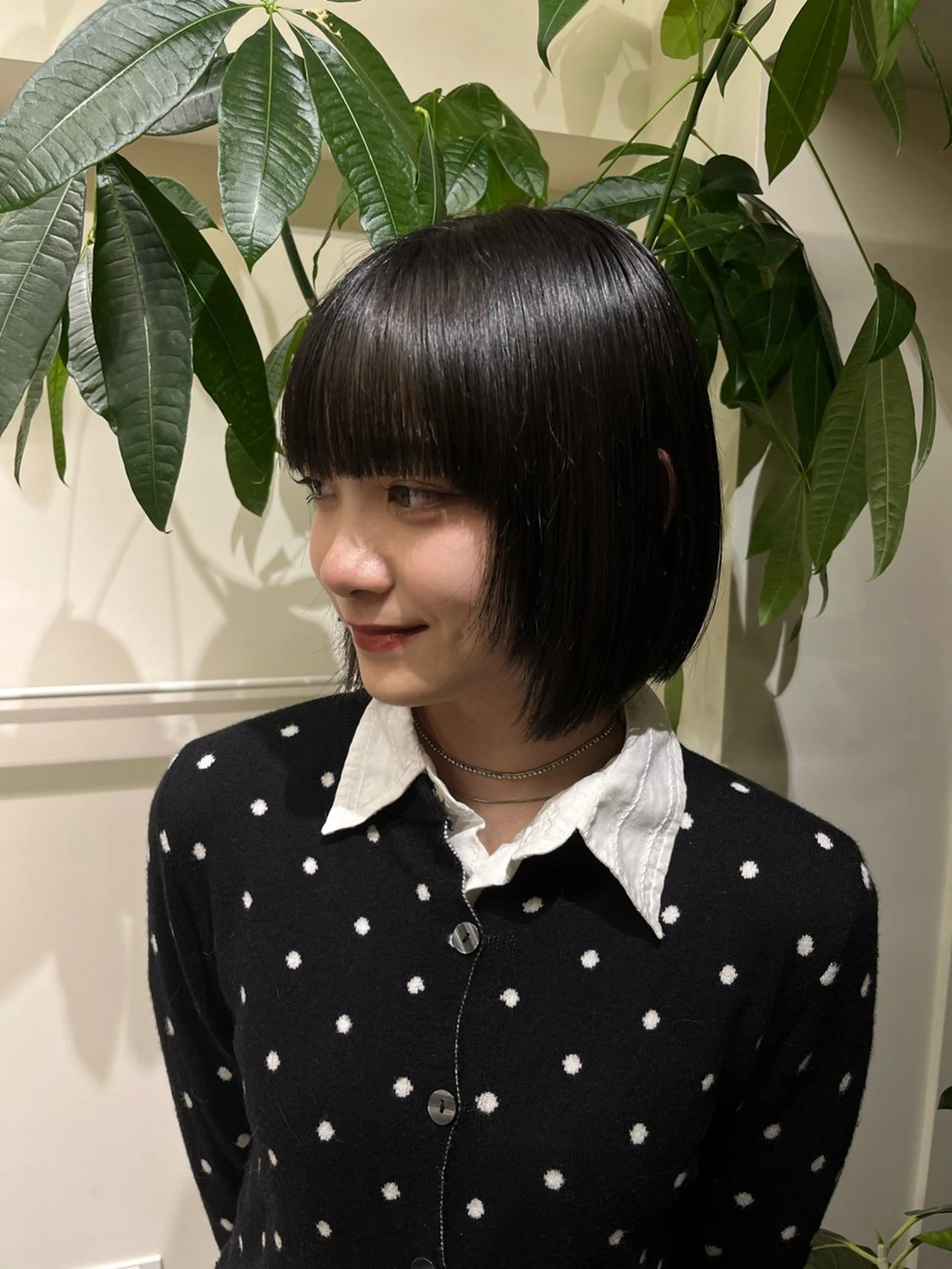 『ミニモ学割』実習カラー‼️黒染めしたくない方おすすめオフブラックの写真