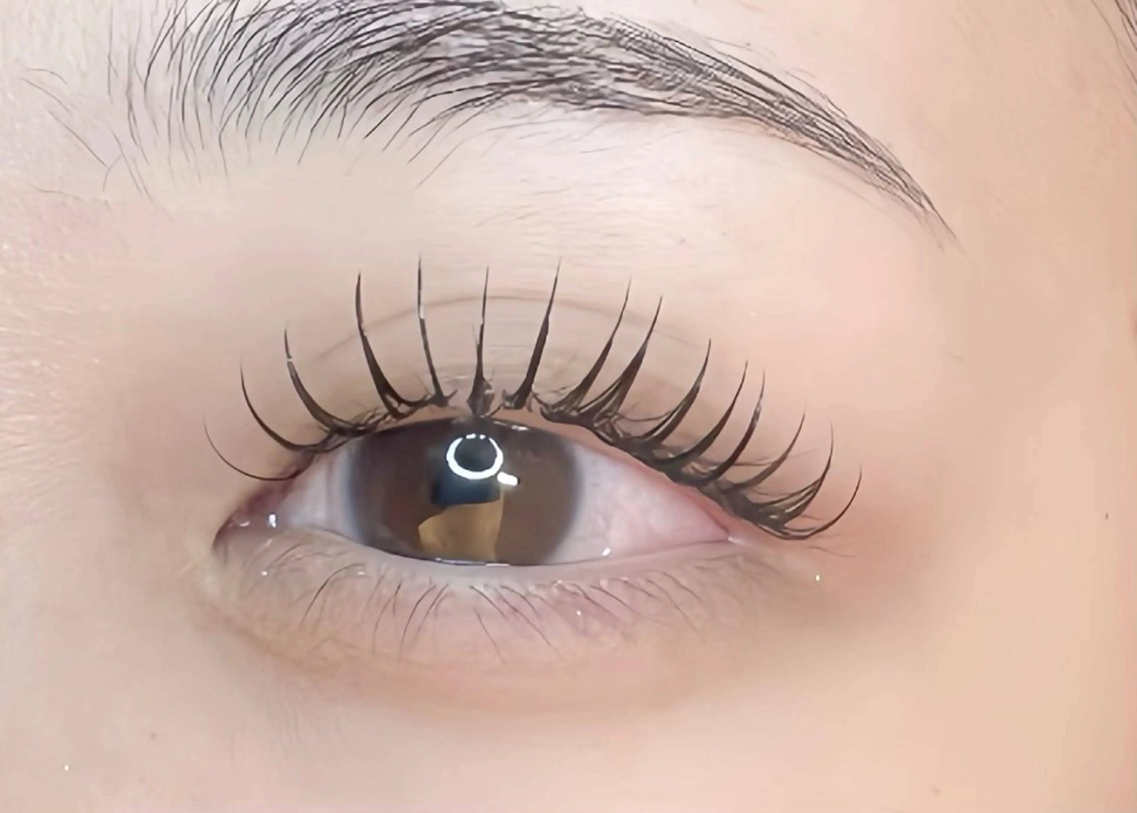 フラットラッシュ80本🌼オフ&コーティング付の写真