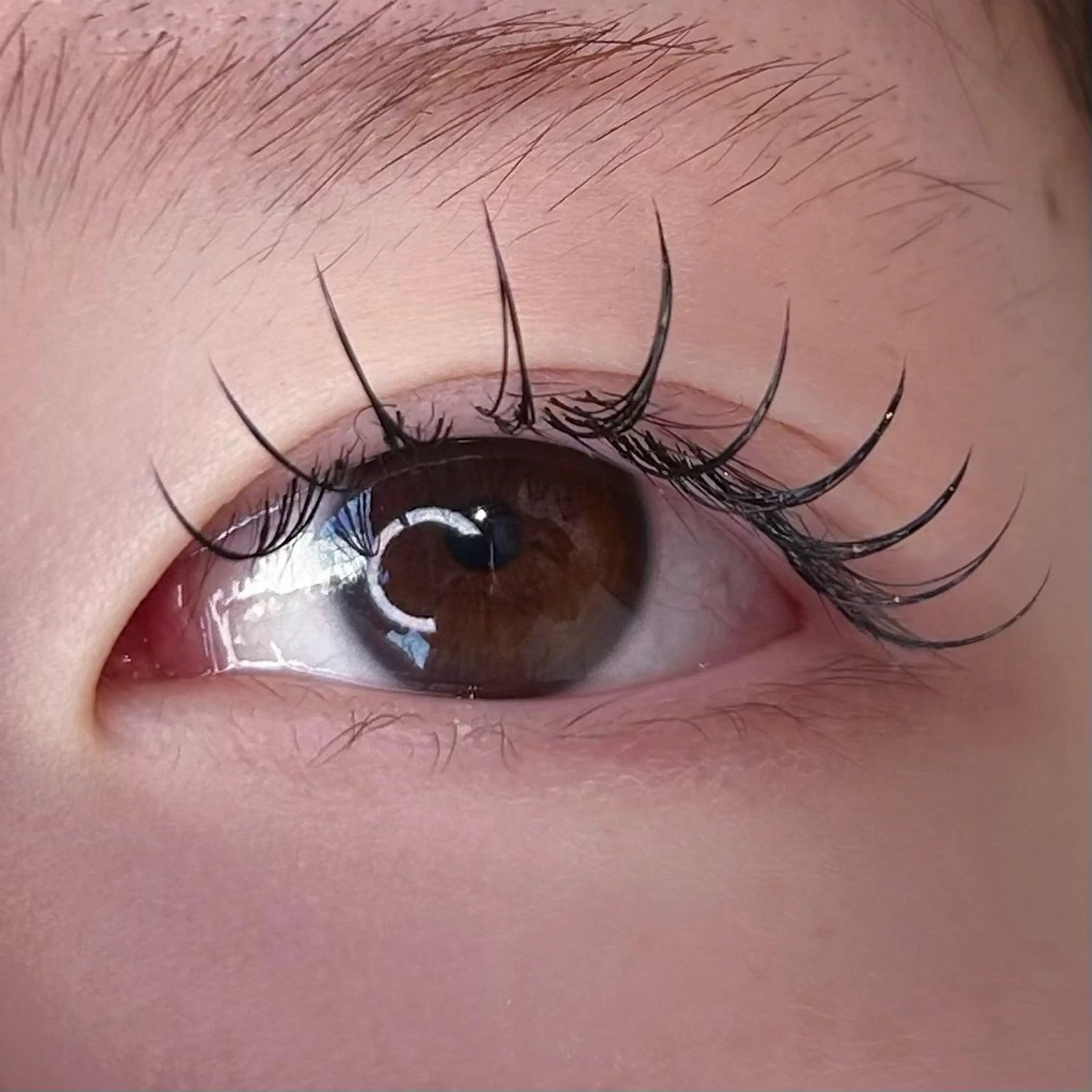 🎀練習モデル🎀平日限定価格《まつげエクステ》flat lash 100~120本  束感仕上げ付き ✩の写真