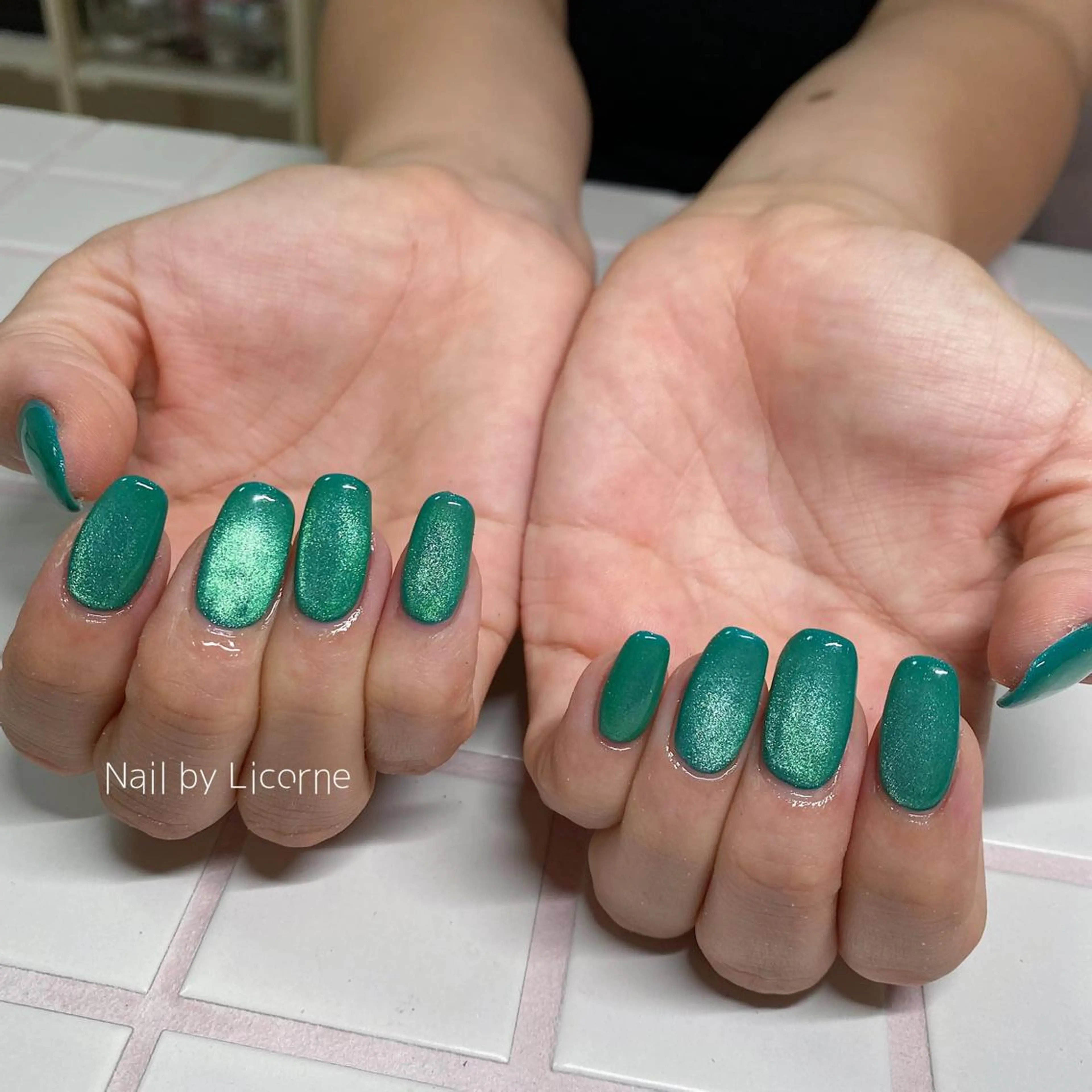 ネイル アートネイル オーロラネイル フレンチネイル 氷ネイル・うるうるネイル マグネットネイル ハンドネイル Nail by Licorneのネイルデザイン