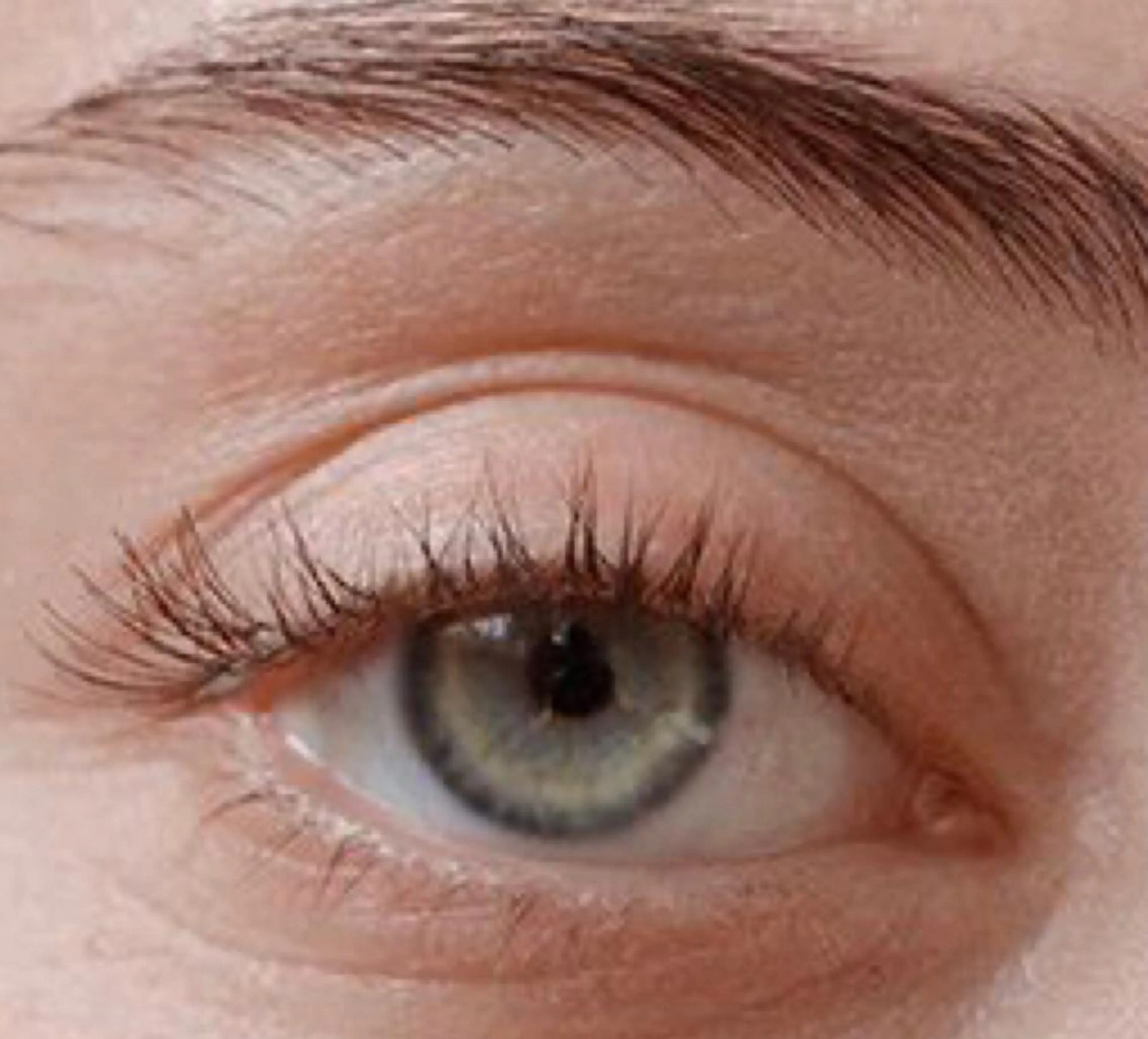 パーマ マツエク・マツパ ty eyelashのマツエク・マツパデザイン