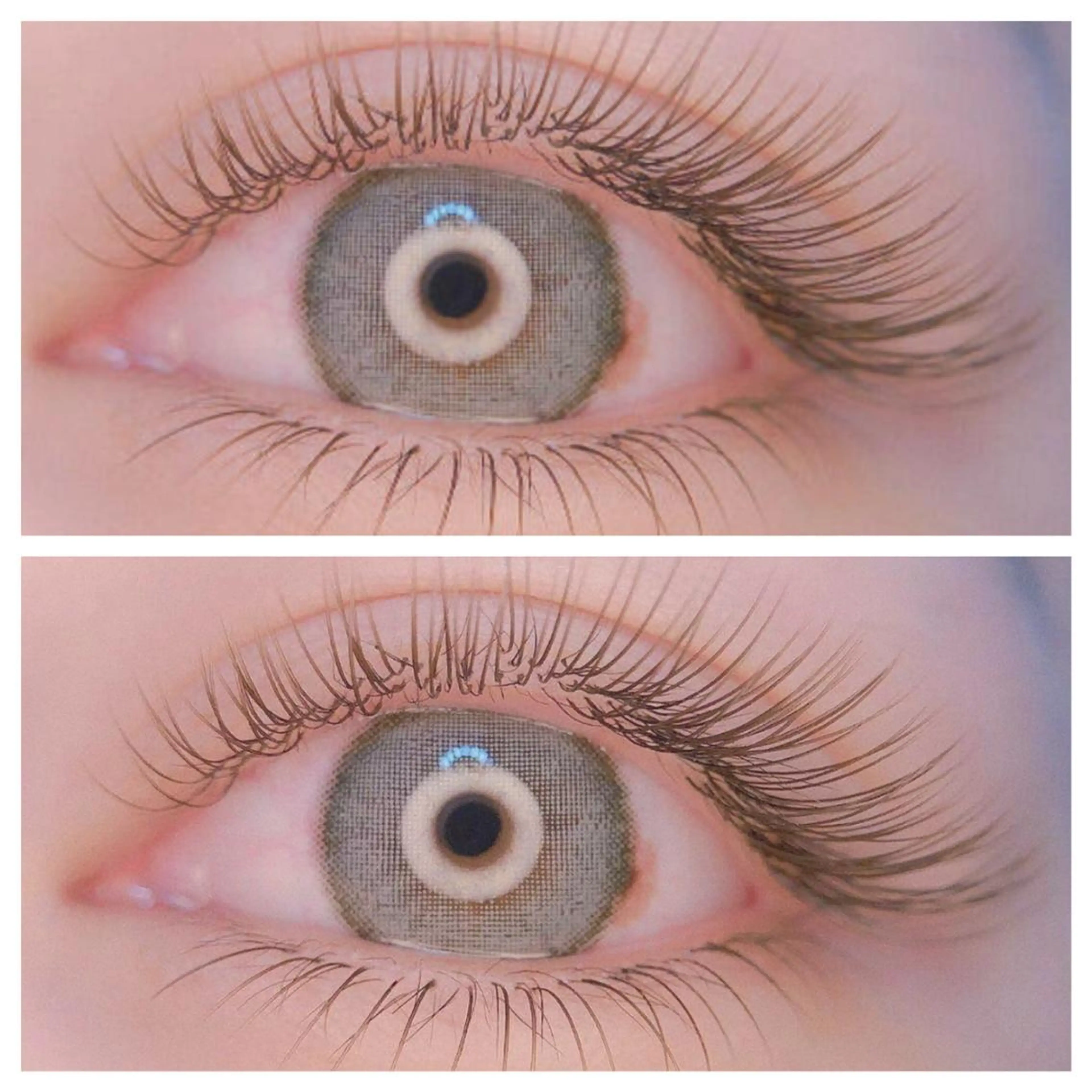 カラー パーマ ヘアアレンジ キッズ ネイル マツエク・マツパ ブラウンカラー Cカール カラーマツエク フラットラッシュ 下まつげエクステ 神山 ビューティー・アイのマツエク・マツパデザイン