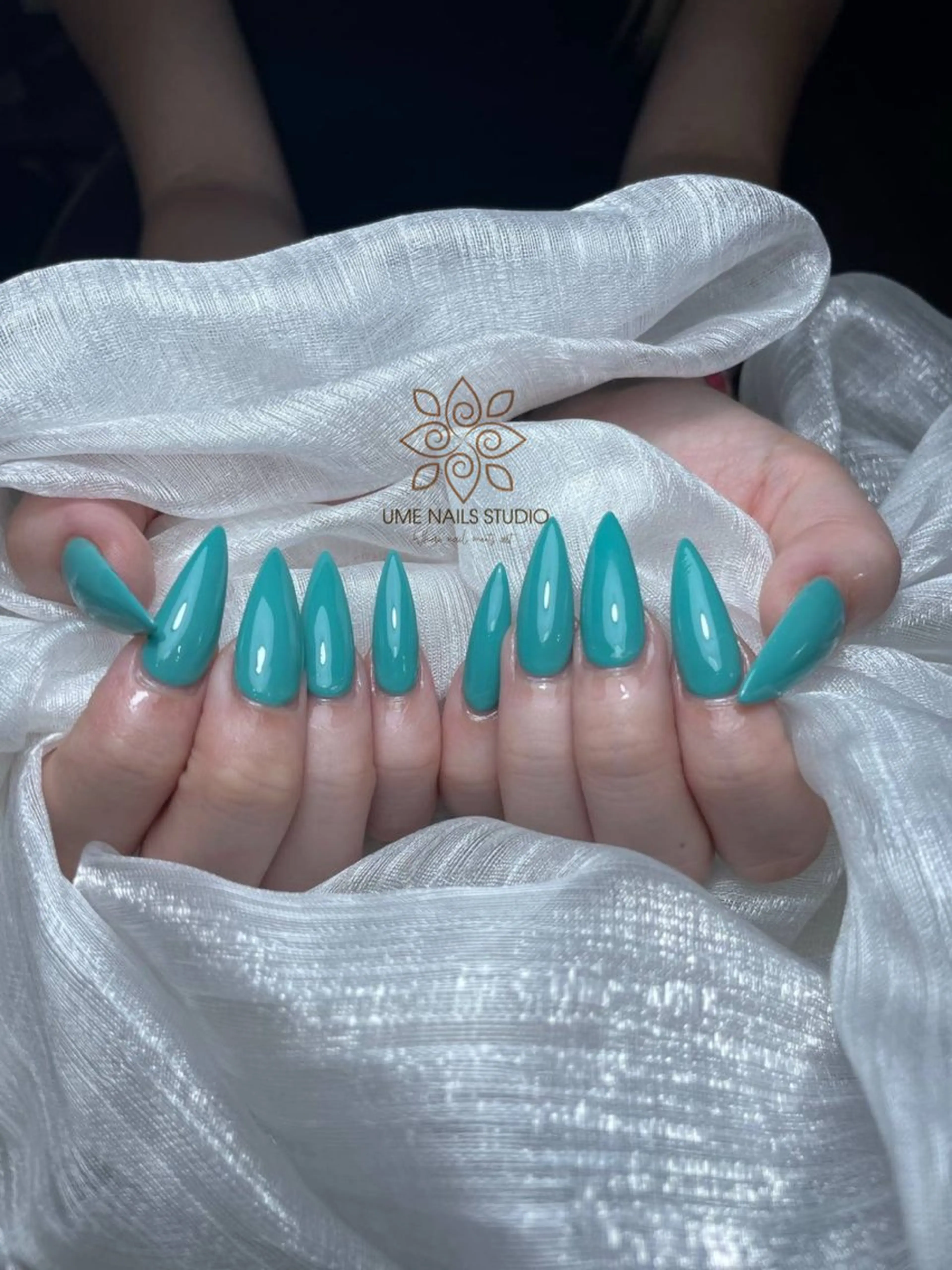 ネイル チークネイル クリアネイル ガーリー キラキラネイル 韓国ネイル ハンドネイル Ume Nail Studioのネイルデザイン