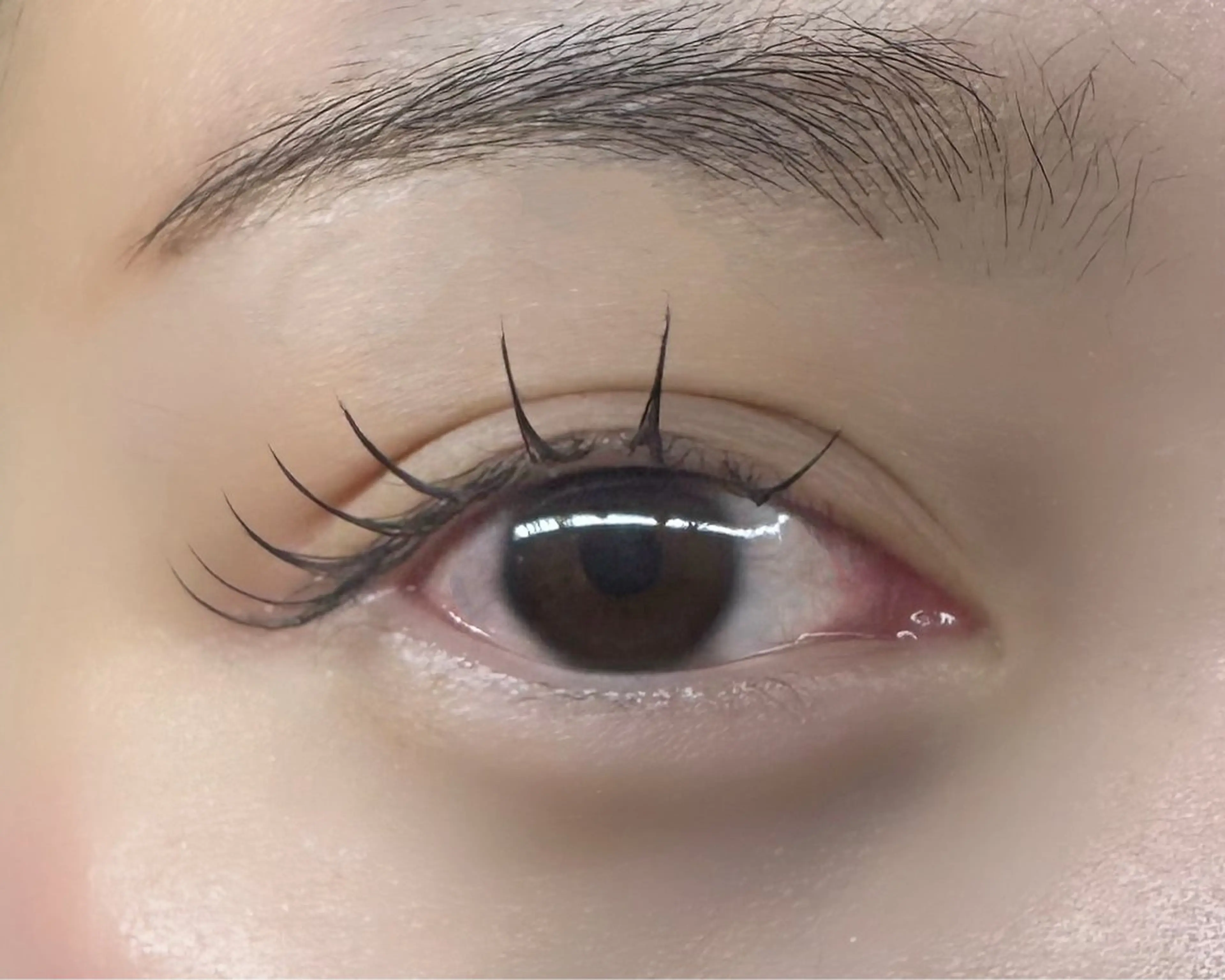 マツエク・マツパ laboT Momokaのマツエク・マツパデザイン