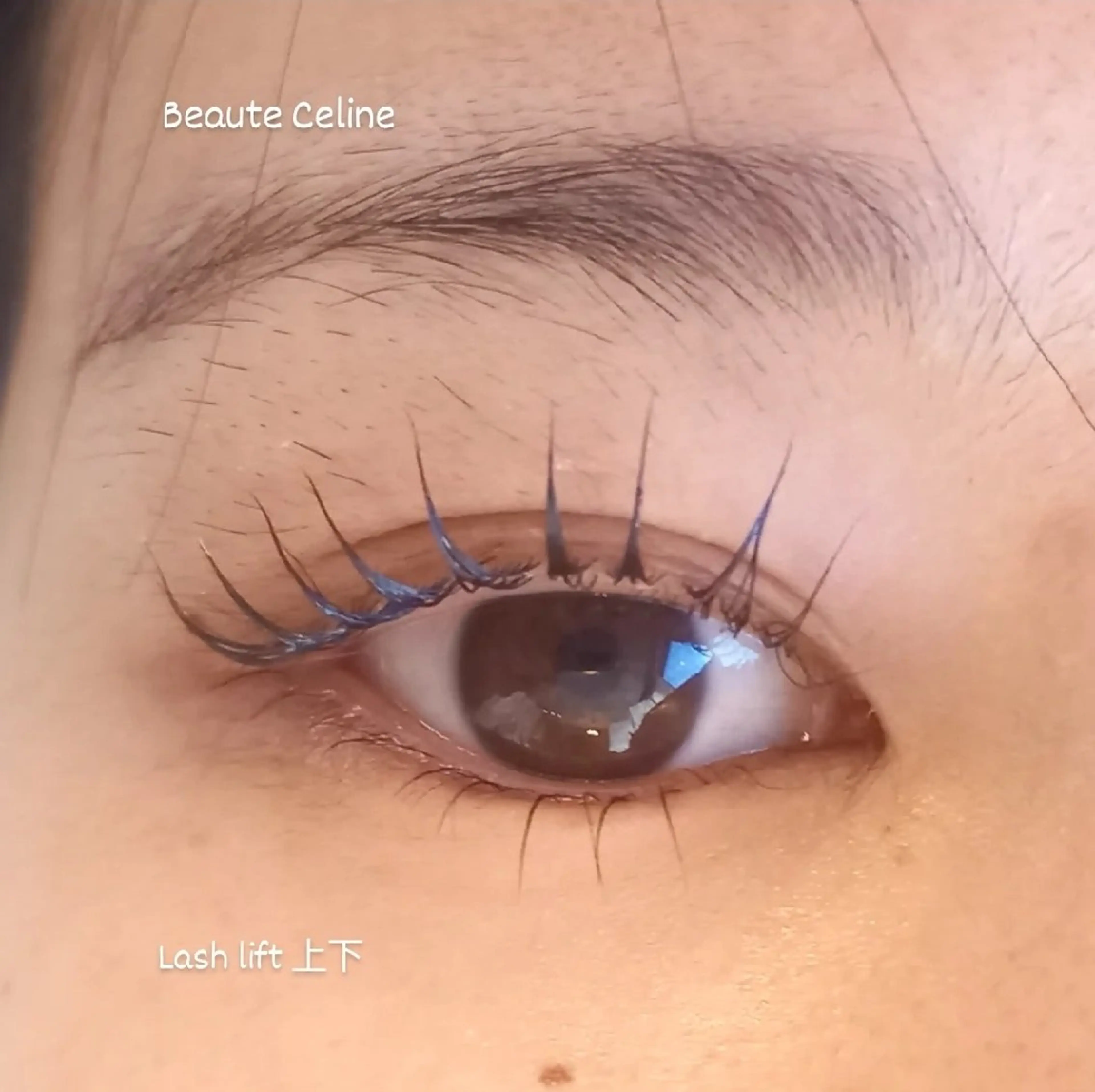 マツエク・マツパ マツパ beaute.celine所属・ぱっちりパーマ🌛 ﾎﾞｰﾃCelineのマツエク・マツパデザイン