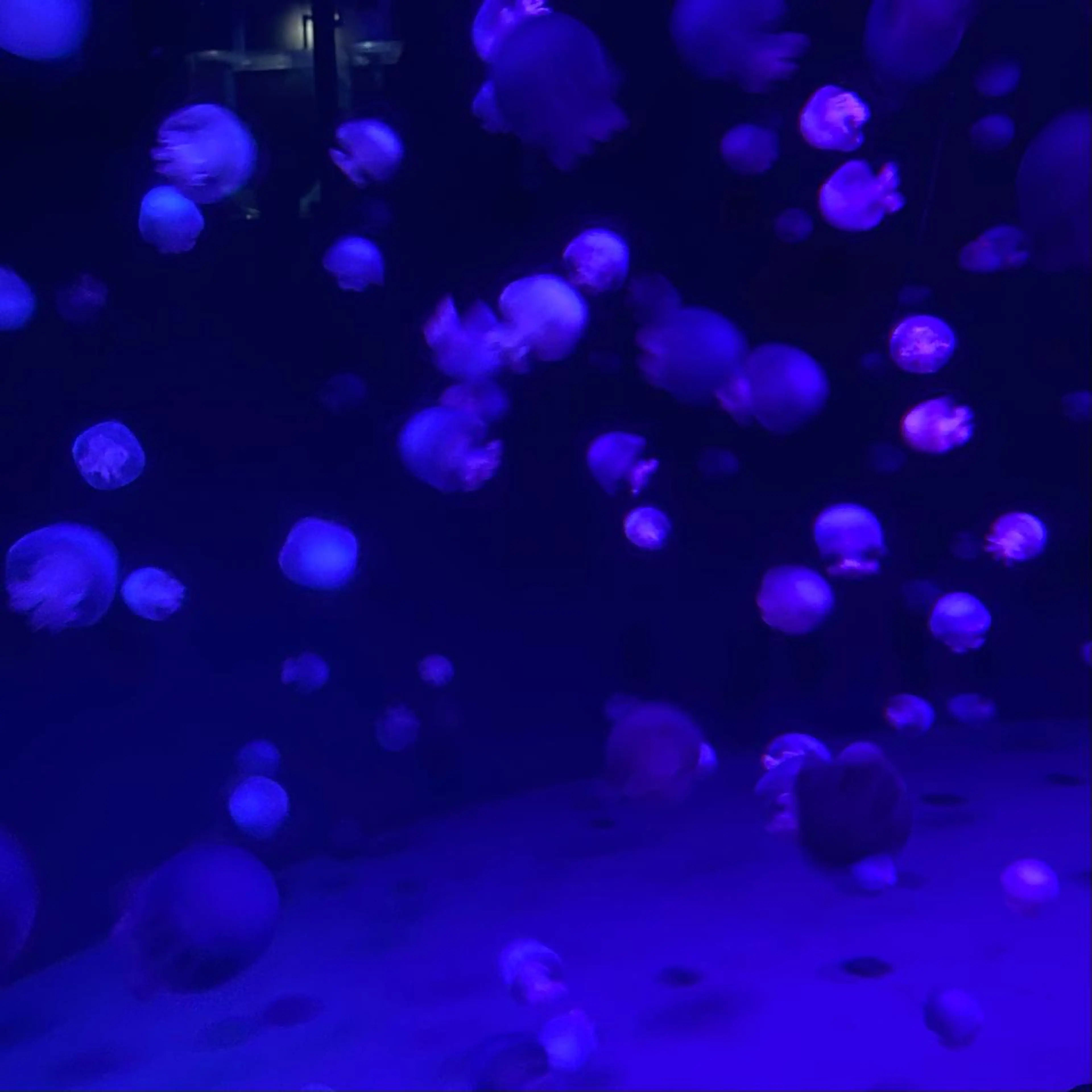 TIDEHAIR SHIHOのヘアスタイル