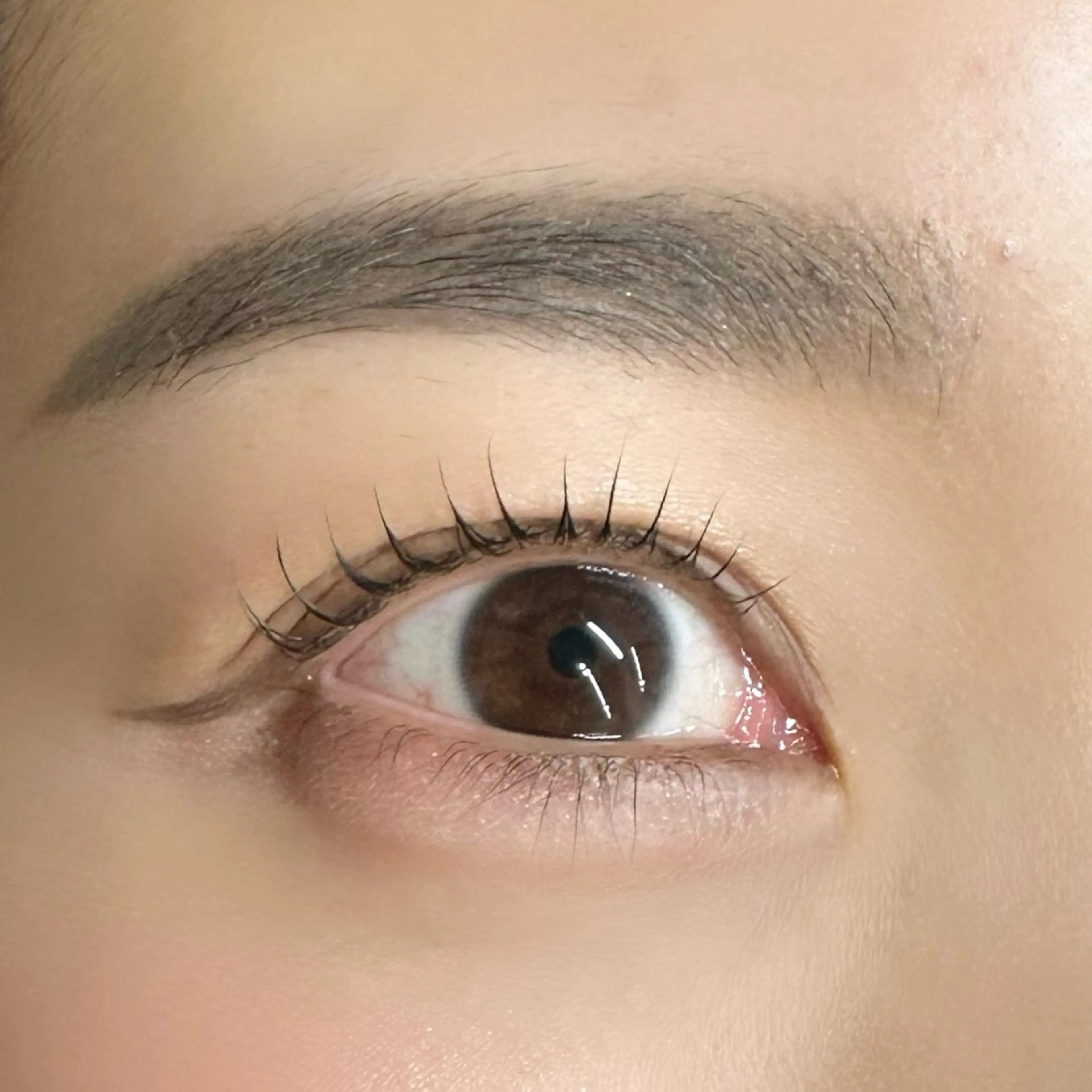 マツエク・マツパ マツパ 🦋Code.🦋 eyelash🩵の眉毛・アイブロウイメージ