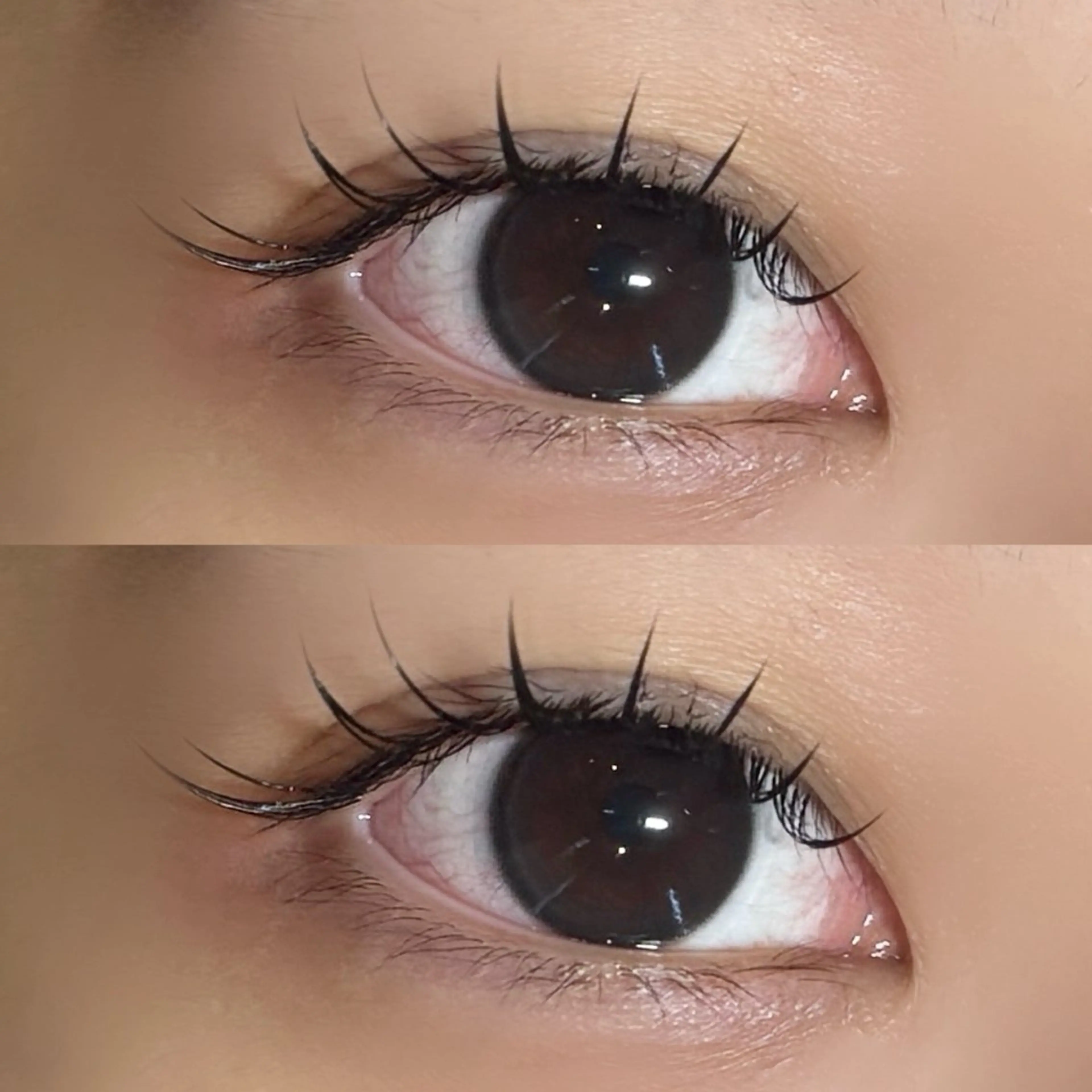 【ミニモ限定】フラットラッシュ120本🧡オフ込みの写真