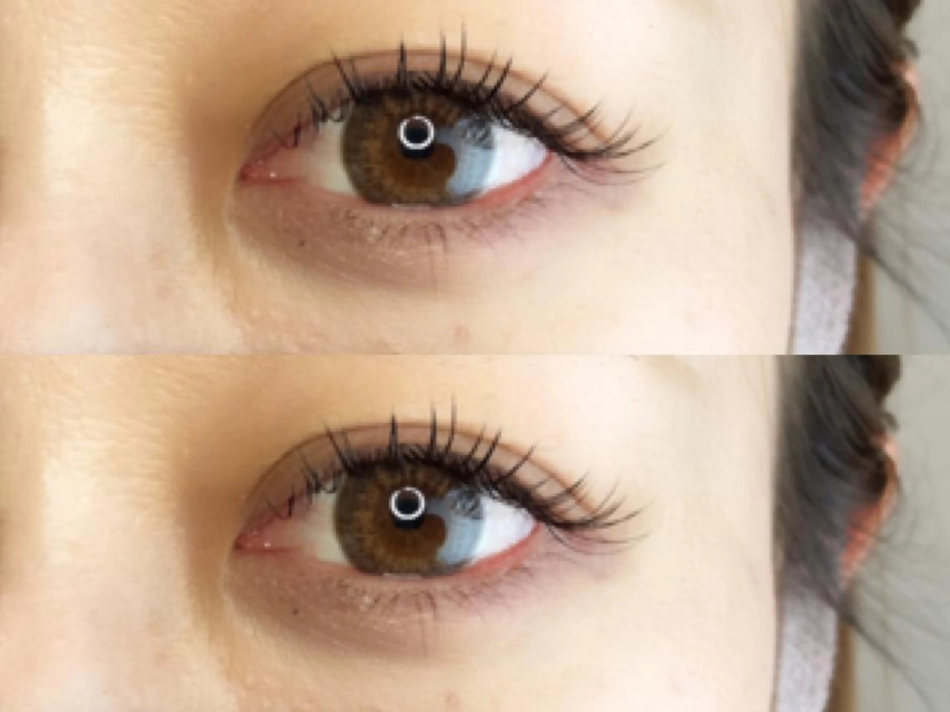 マツエク・マツパ マツエク 《eyelash ｉｉｔｅ》森のマツエク・マツパデザイン