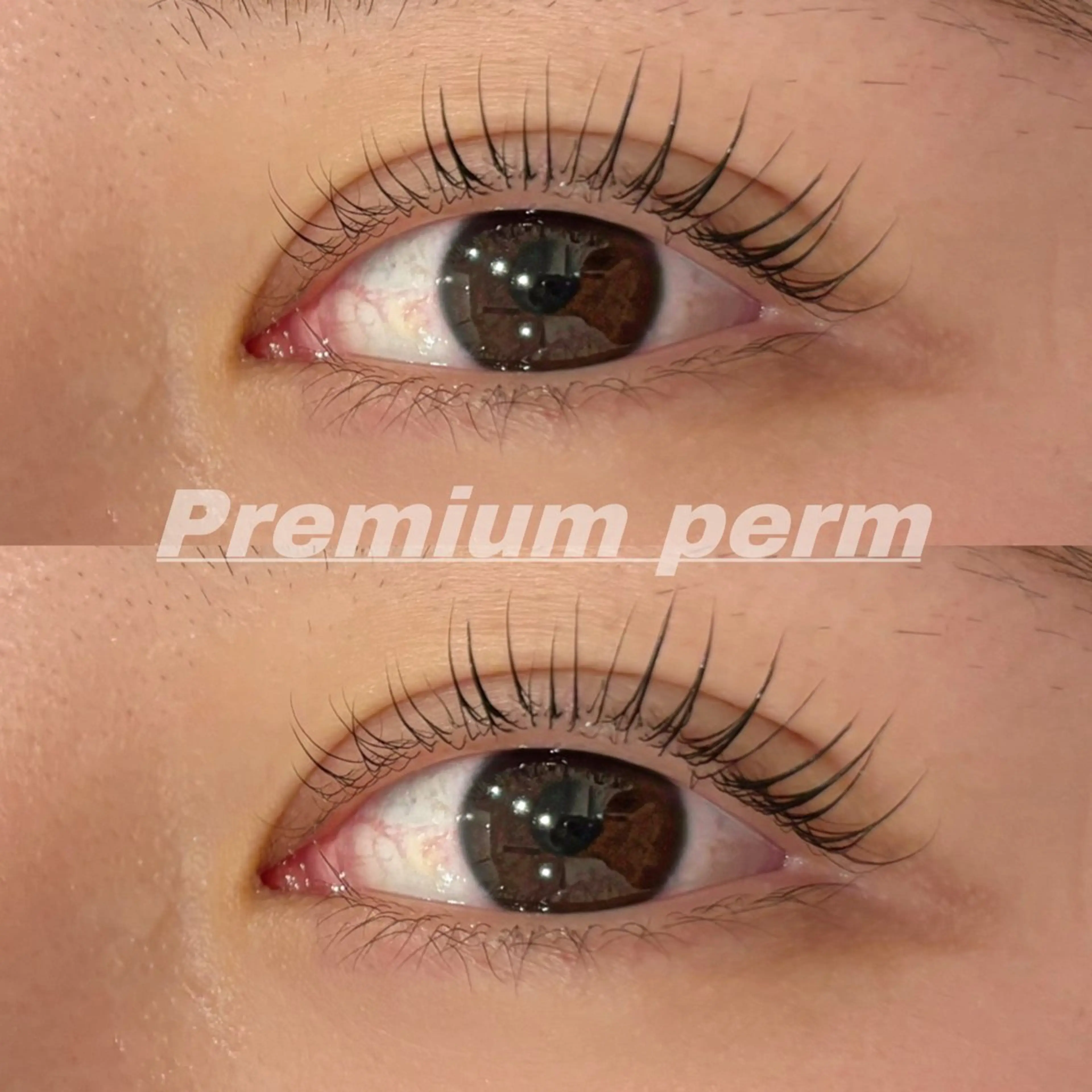 マツエク・マツパ 一重×まつ毛パーマ Eye ELSA lash栄店 長沼の眉毛・アイブロウイメージ