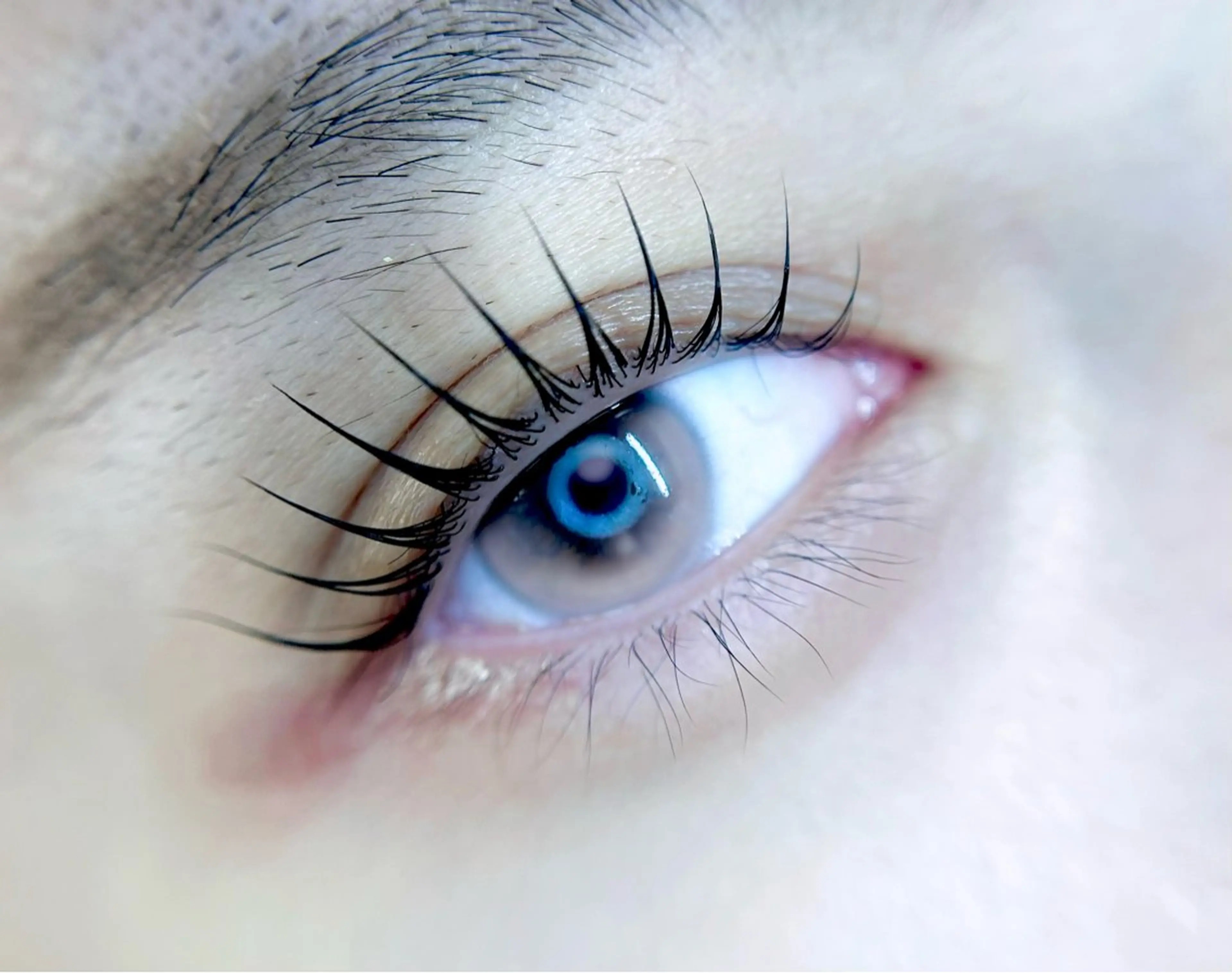 マツエク・マツパ マツパ eyelist. mizuki🐈⬛の眉毛・アイブロウイメージ