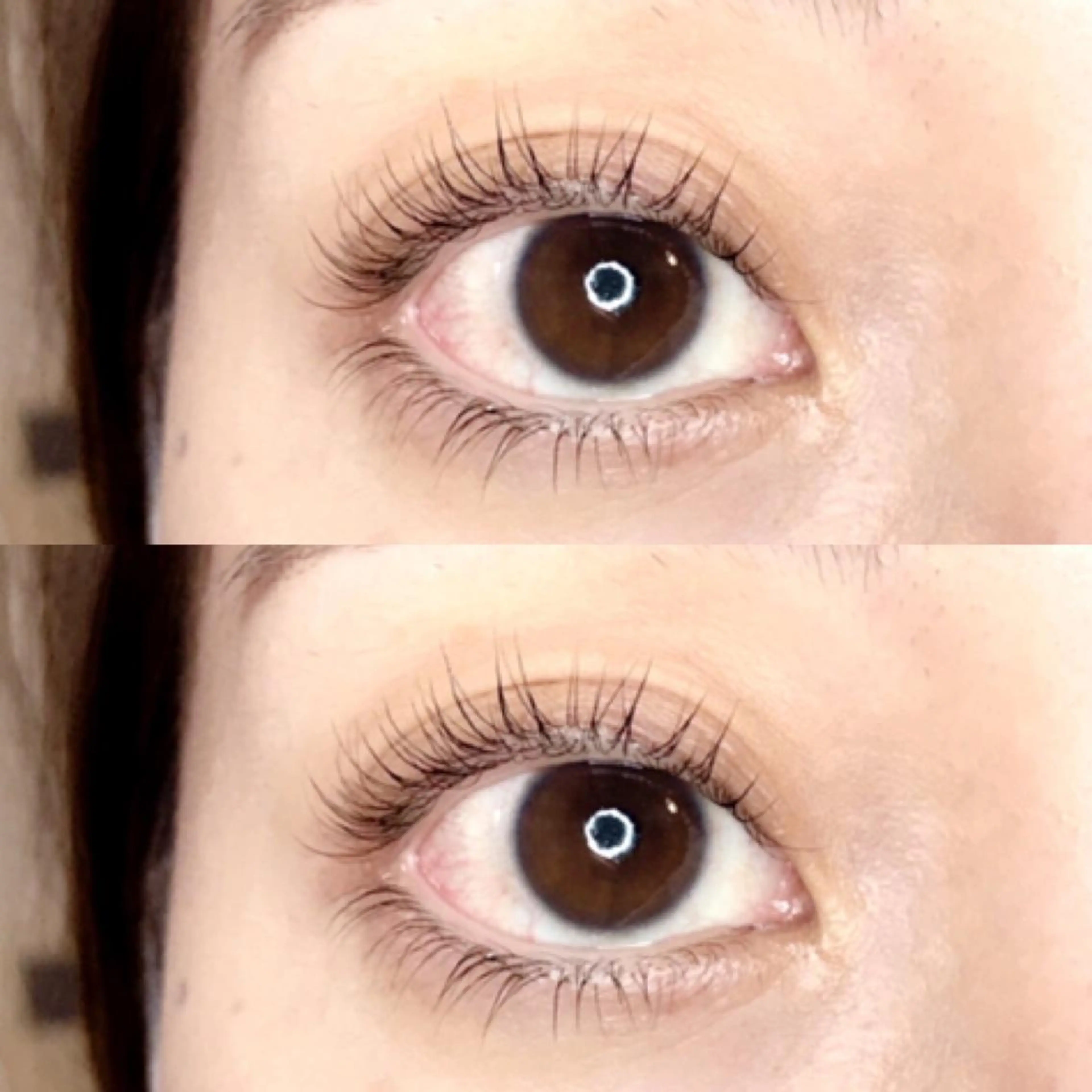 マツエク・マツパ マツパ 《eyelash ｉｉｔｅ》森のマツエク・マツパデザイン
