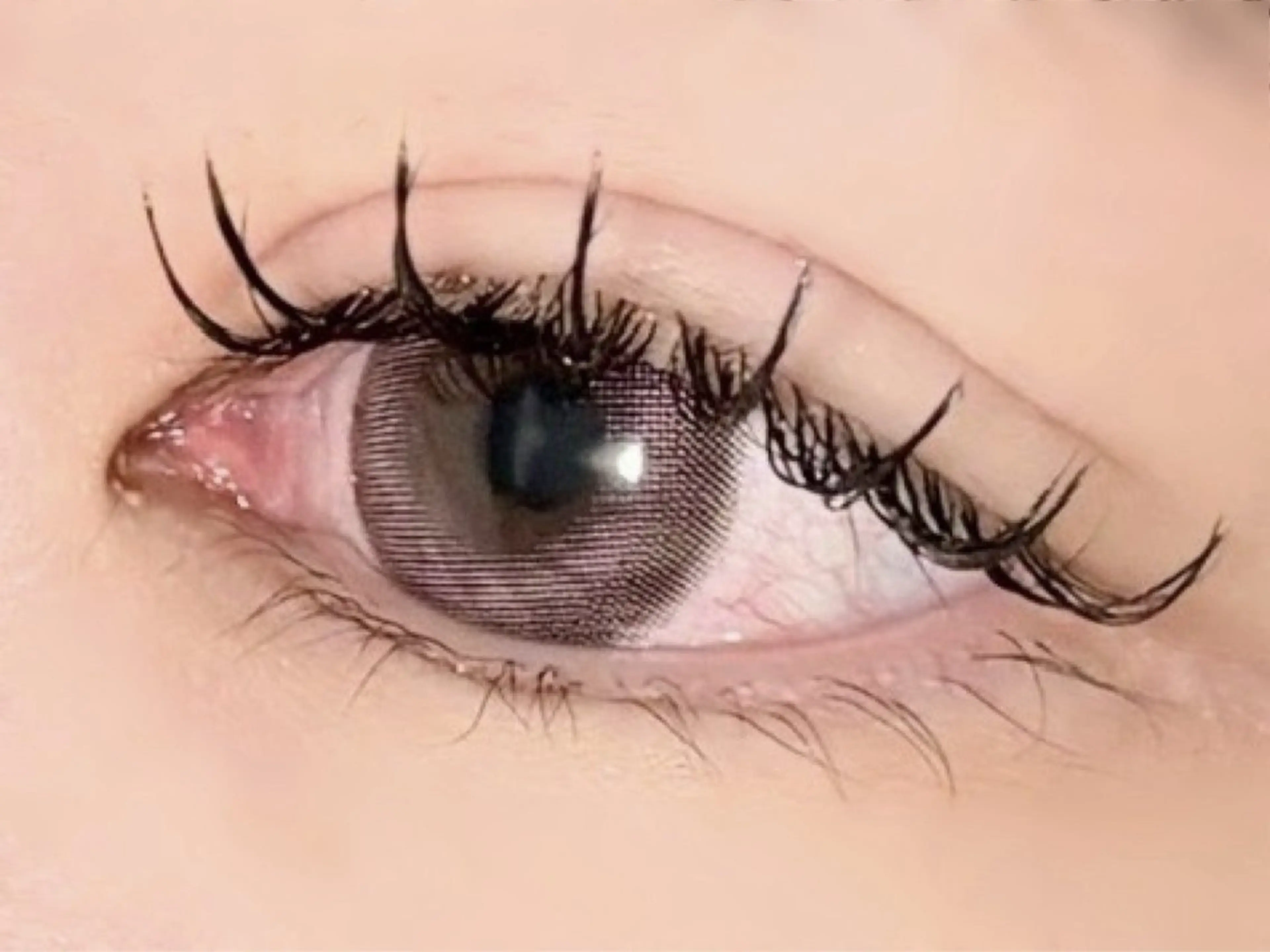 フラットラッシュ120本までの写真