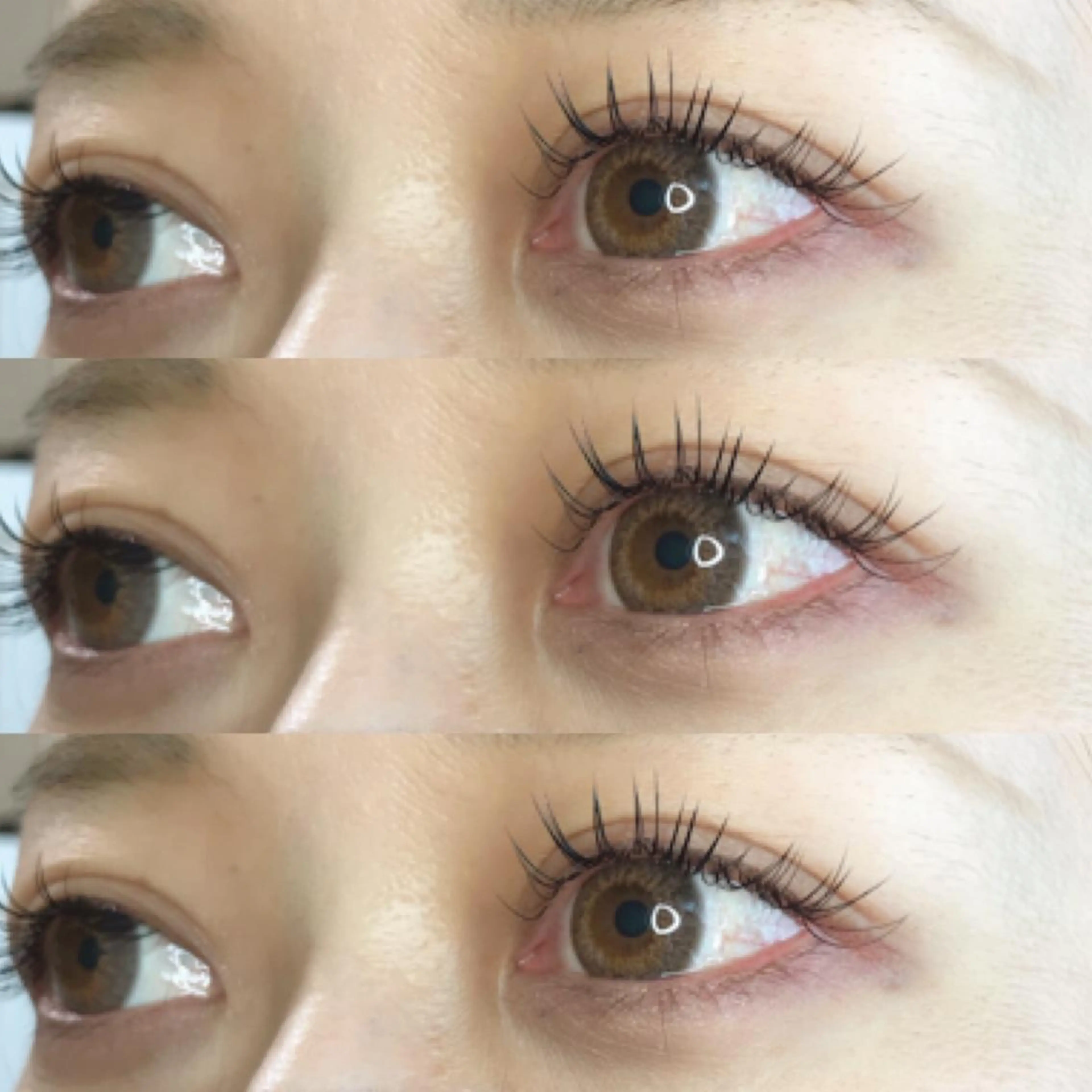 マツエク・マツパ マツエク 《eyelash ｉｉｔｅ》森のマツエク・マツパデザイン