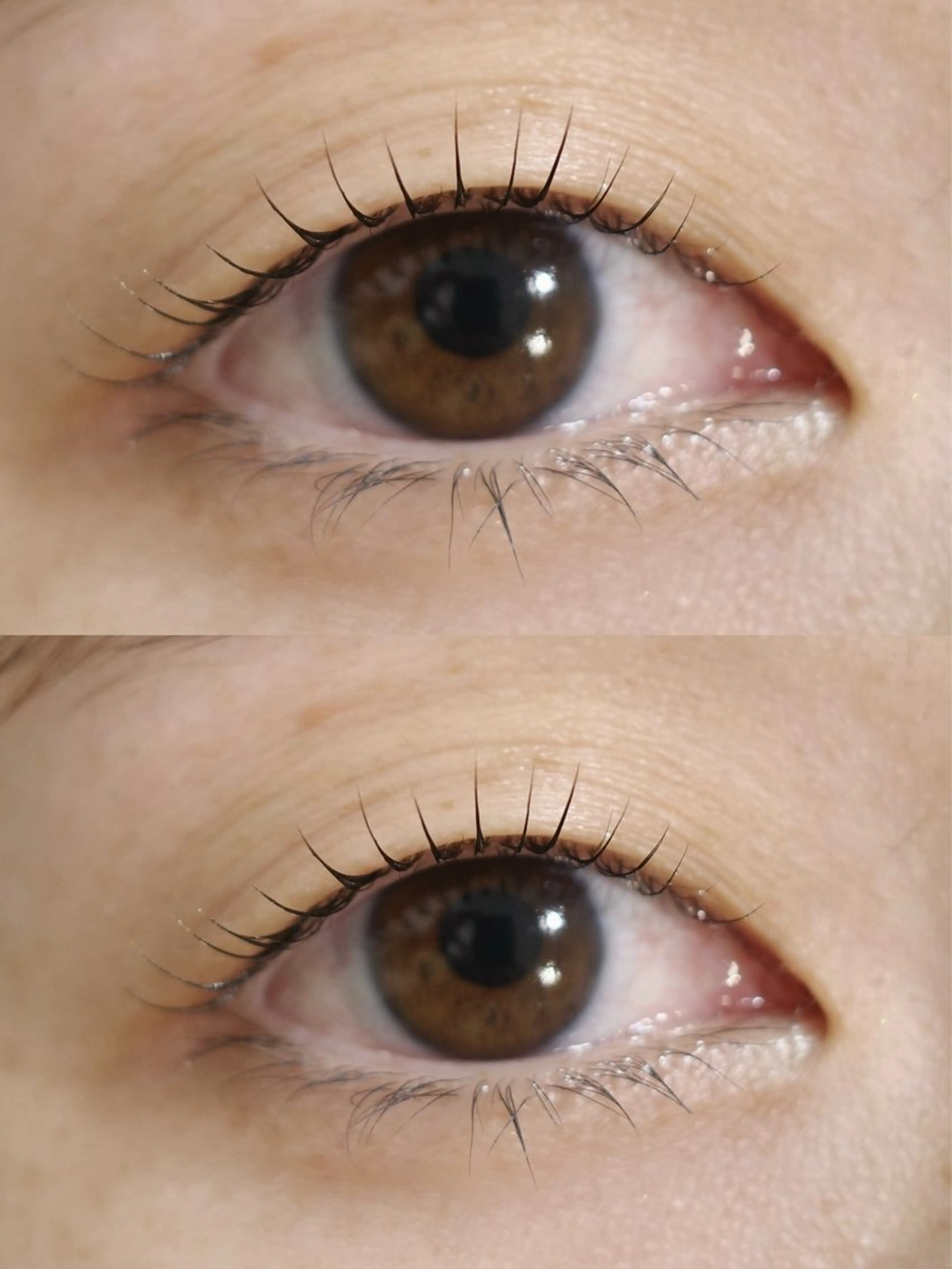 【新ロッド検証モデル】一重瞼の方限定♪まつ毛パーマ/無料モニター募集の写真