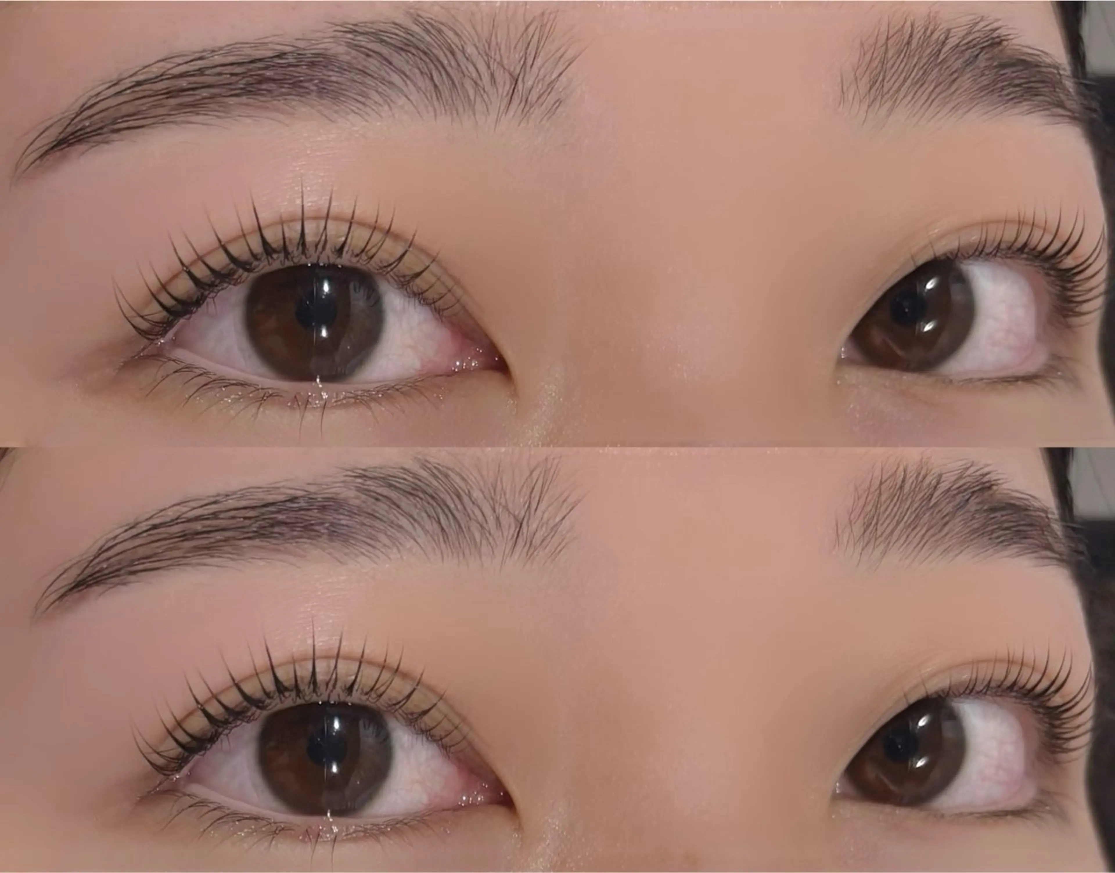 マツエク・マツパ toree所属・伏見/藤森 m🪡💞のマツエク・マツパデザイン