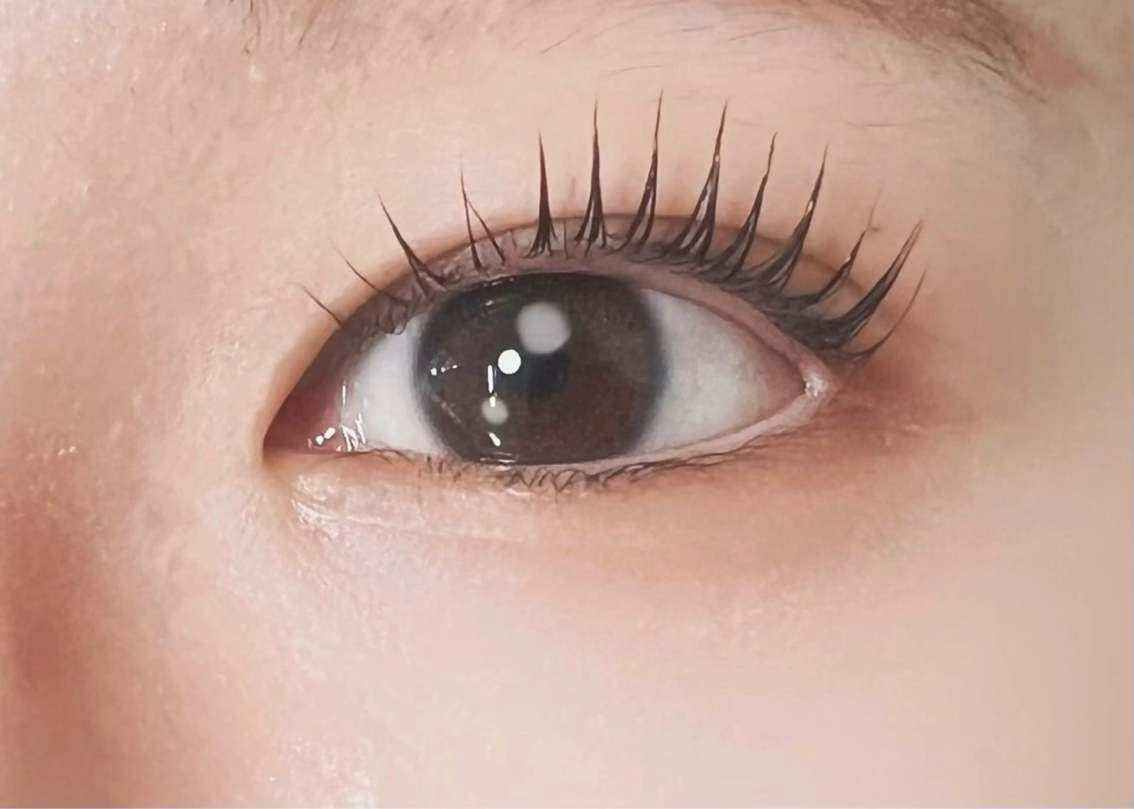 話題のブラックティント‪🖤ྀི⚡️まつ毛パーマorパリジェンヌの写真