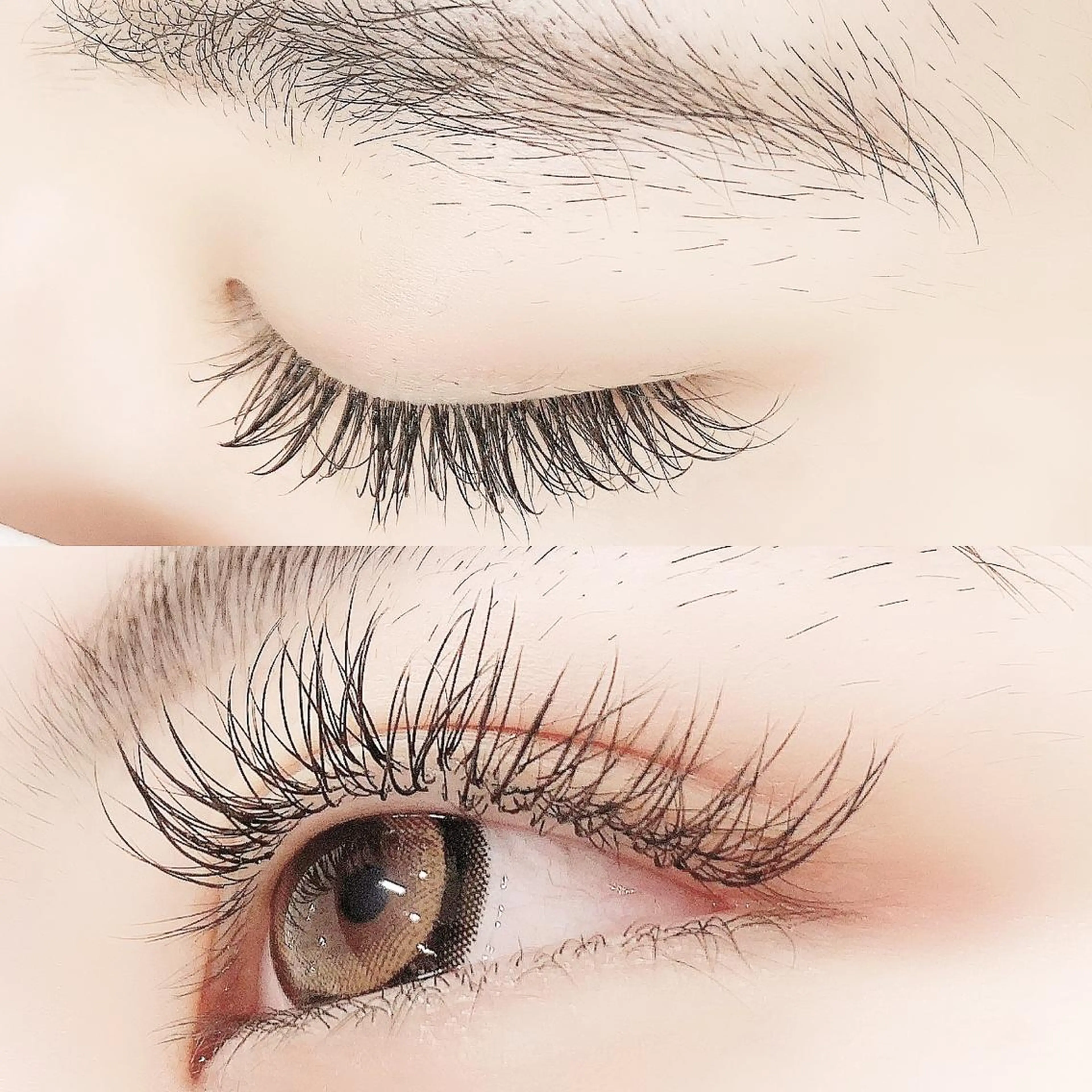 マツエク・マツパ Dカール フラットラッシュ セクシー マツエク Lanhr所属・【Lanhr】 🕊aya🕊のマツエク・マツパデザイン