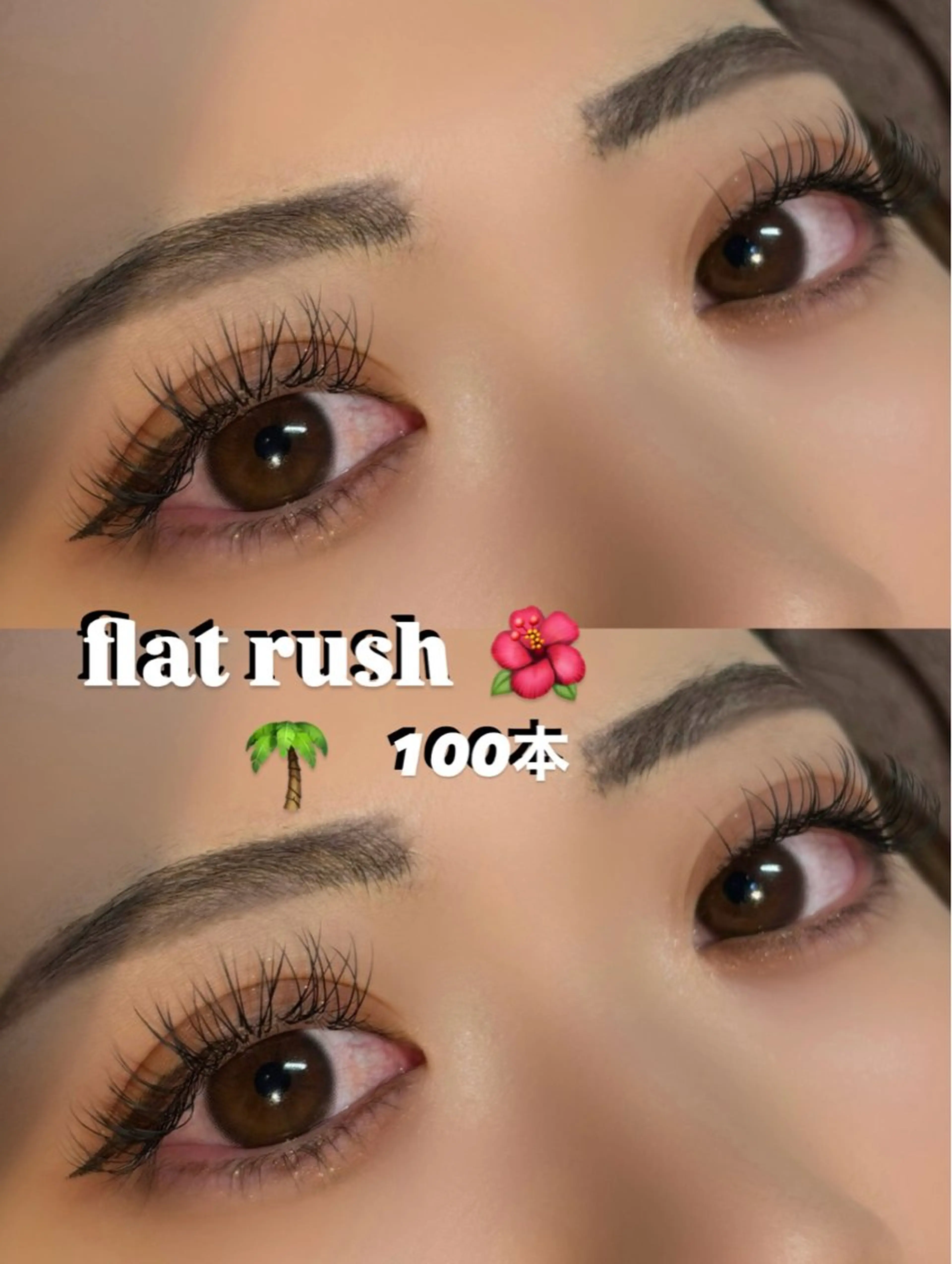 ãããšã¯ã»ããã ððŒSOL seinaððŒã®ãããšã¯ã»ããããã¶ã€ã³