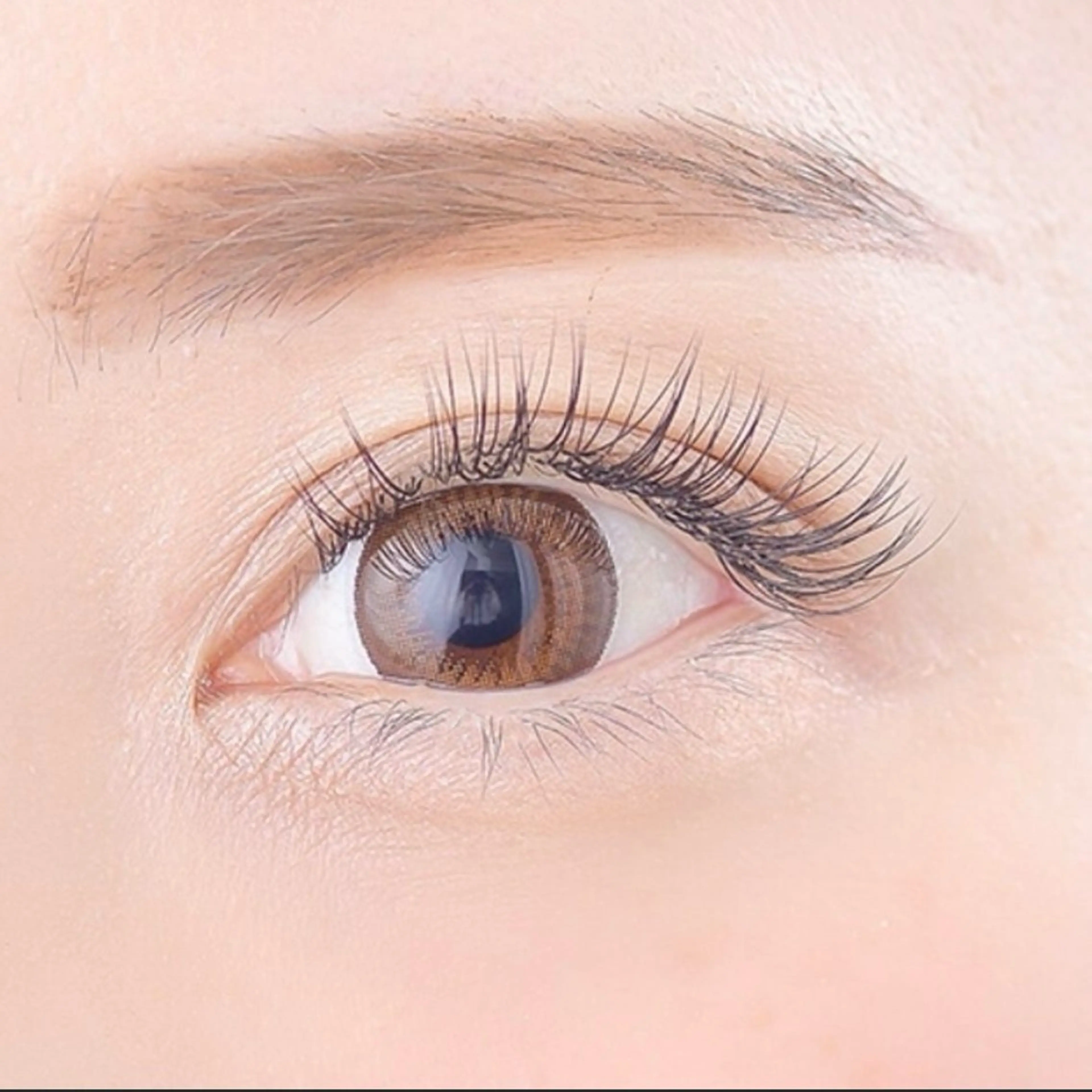 無料モデル募集中✨フラットラッシュ80本​〜​🌷の写真