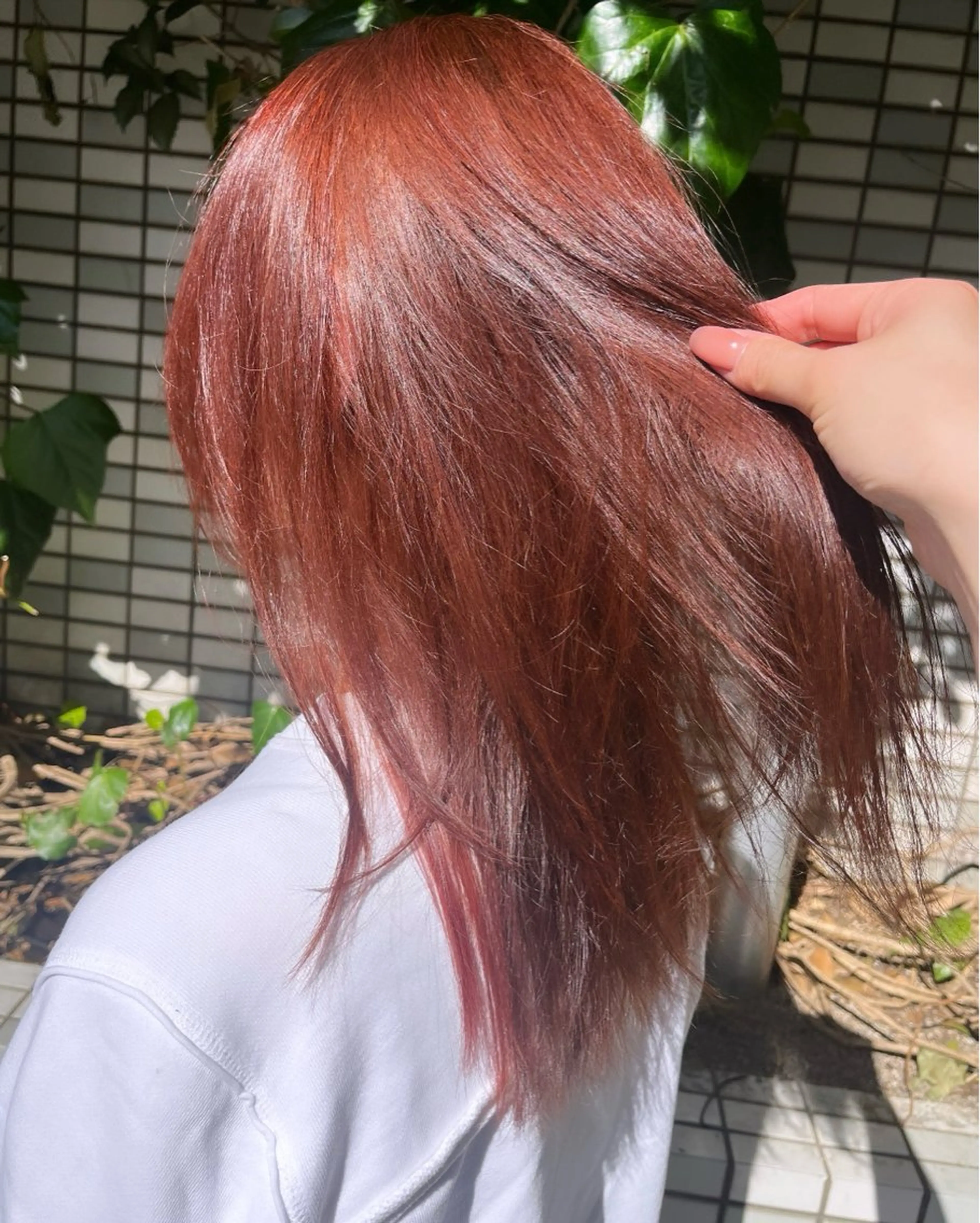 セミロング カラー ピンクカラー 土橋 伊万里のヘアスタイル