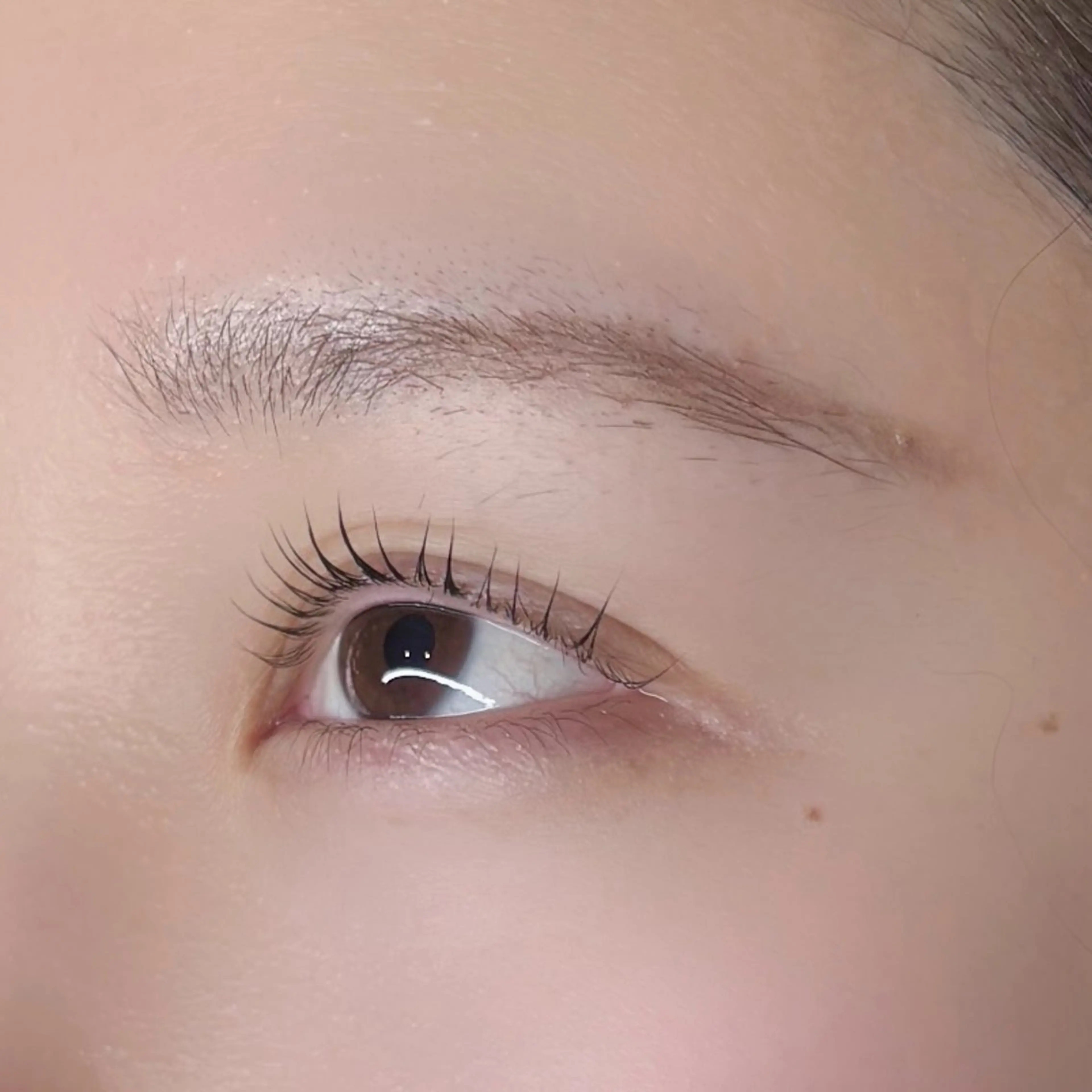 パーマ 眉毛サロンlien所属・Lien Mikuのマツエク・マツパデザイン