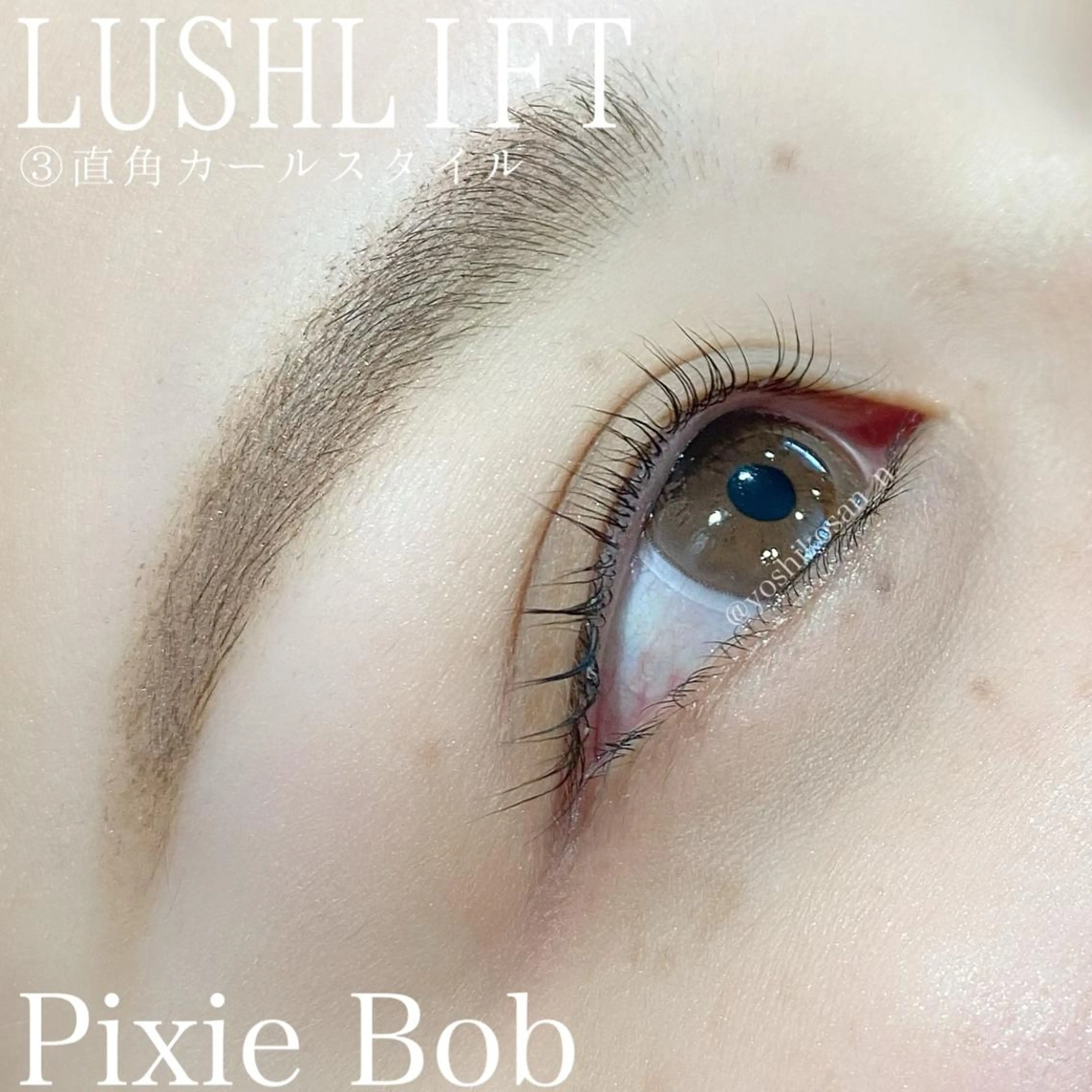 マツエク・マツパ マツパ Pixie Bob 🐈‍⬛　位田のヘアスタイル