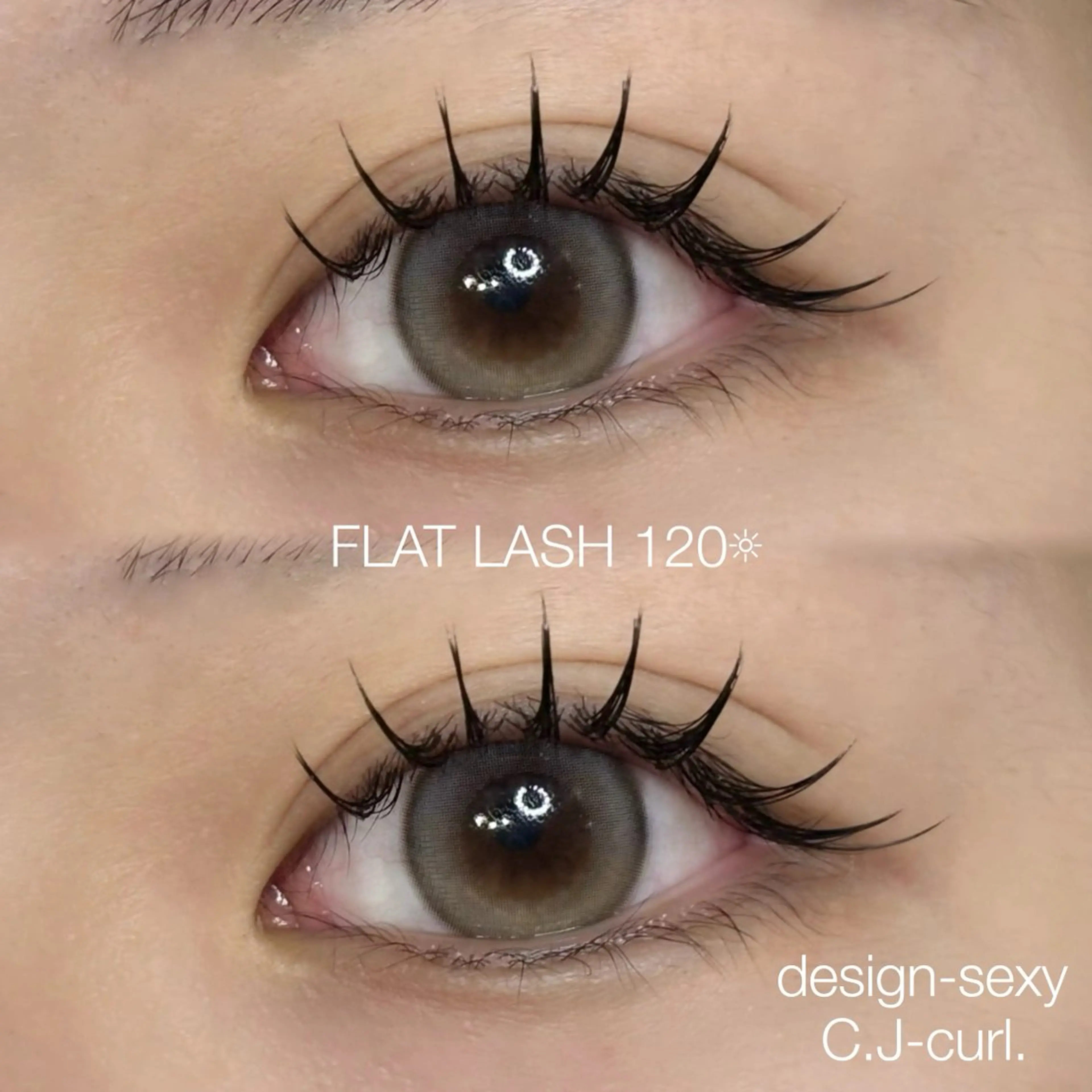 【ご新規様限定✨】🎀FLAT LASH 80~100本+［アイシャンプー・束感コーティング付］🎀の写真
