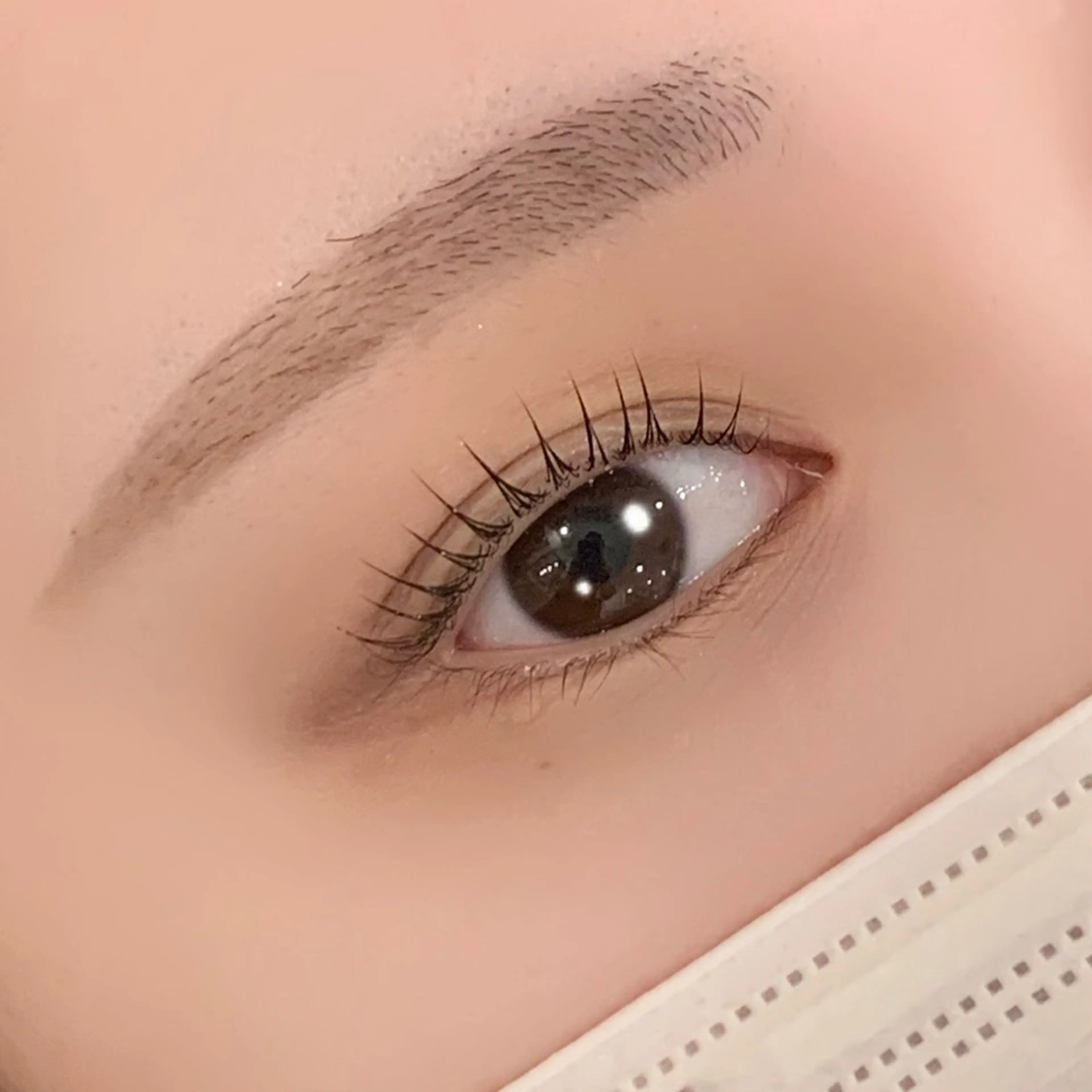 マツエク・マツパ マリーテレジア 無料モデルの眉毛・アイブロウイメージ