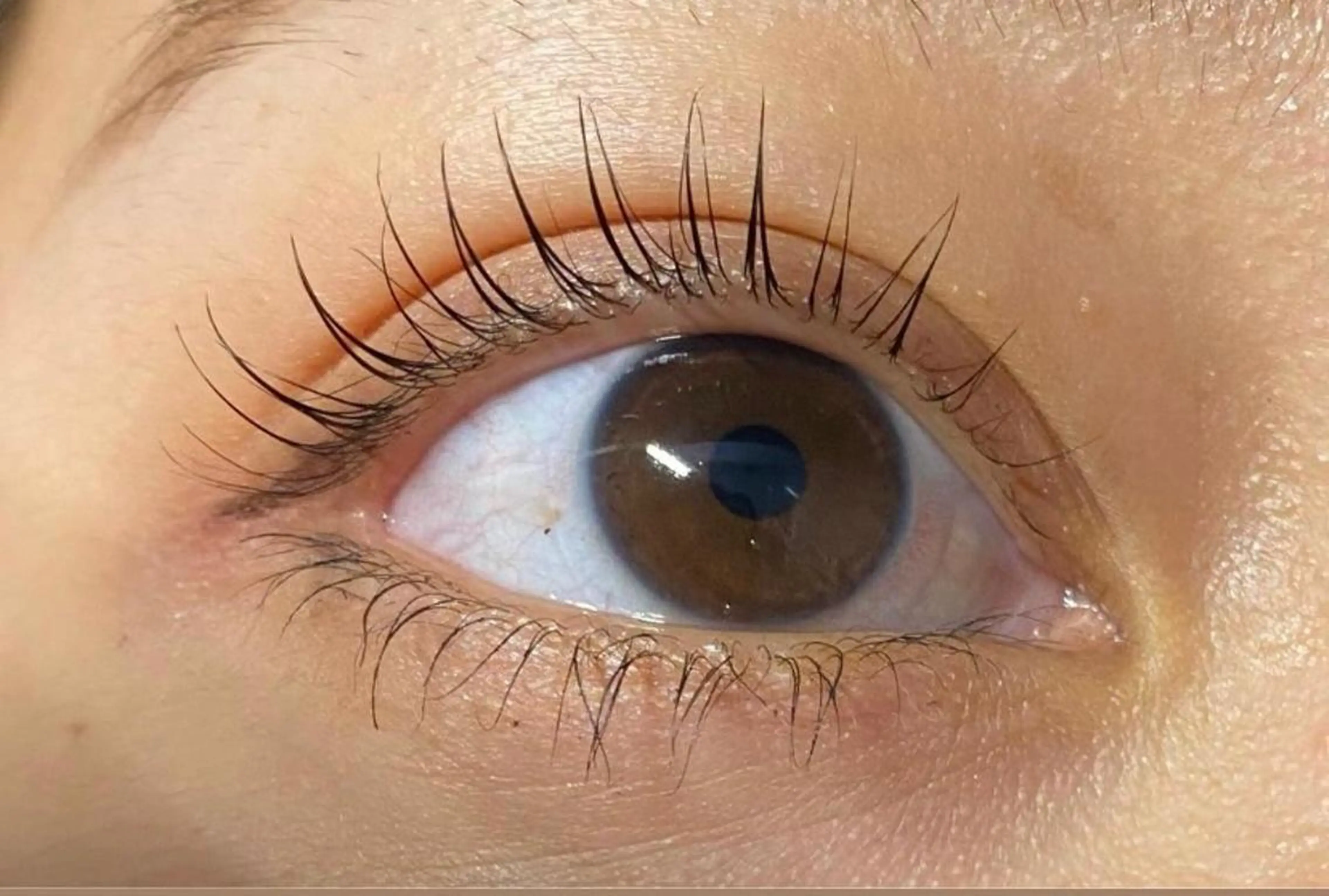 まつげパーマモデル🌟(マツエクのオフが無い方限定)の写真