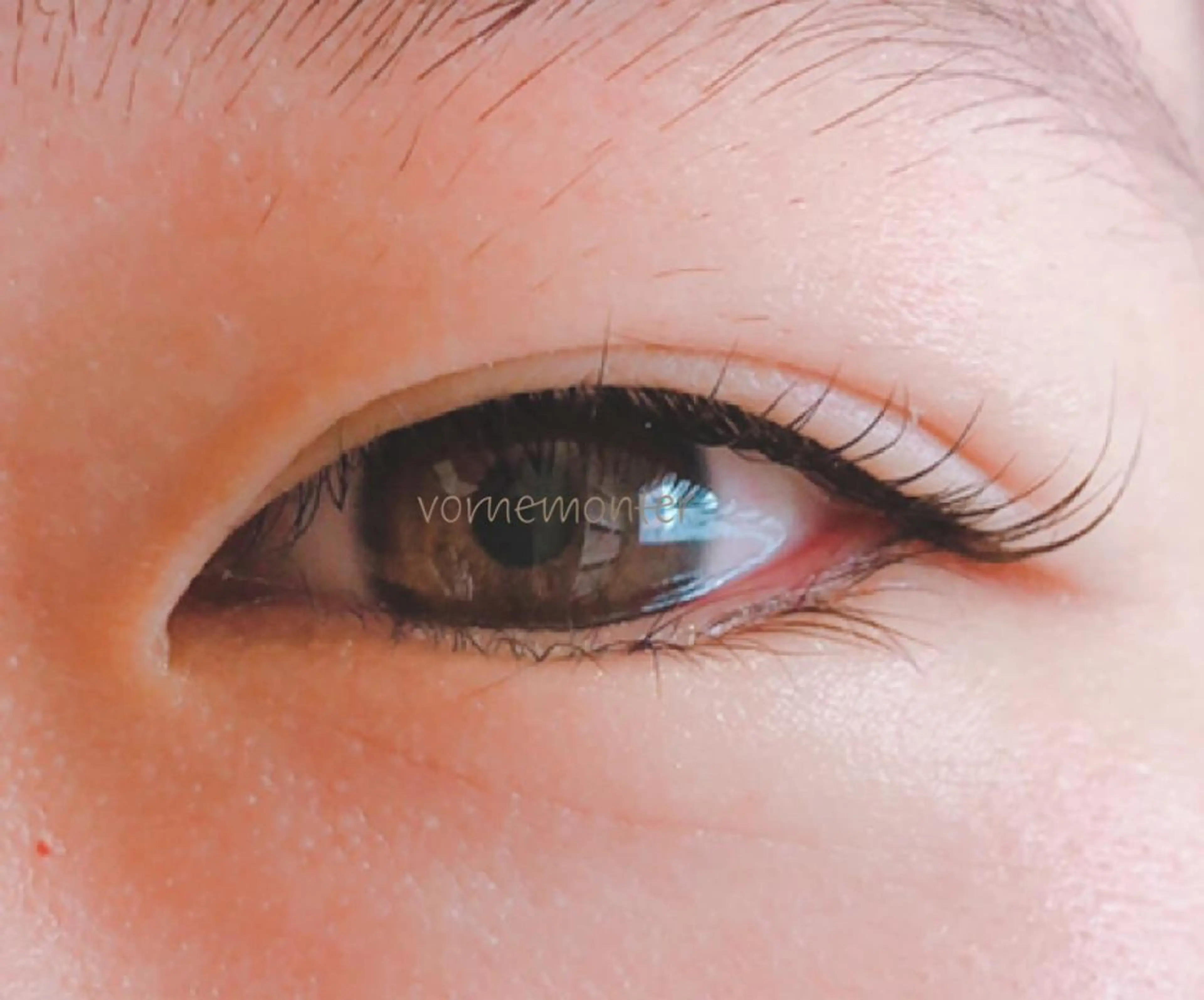 マツエク・マツパ ケラチンラッシュリフト vorne・monter所属・Vorne Monterのマツエク・マツパデザイン