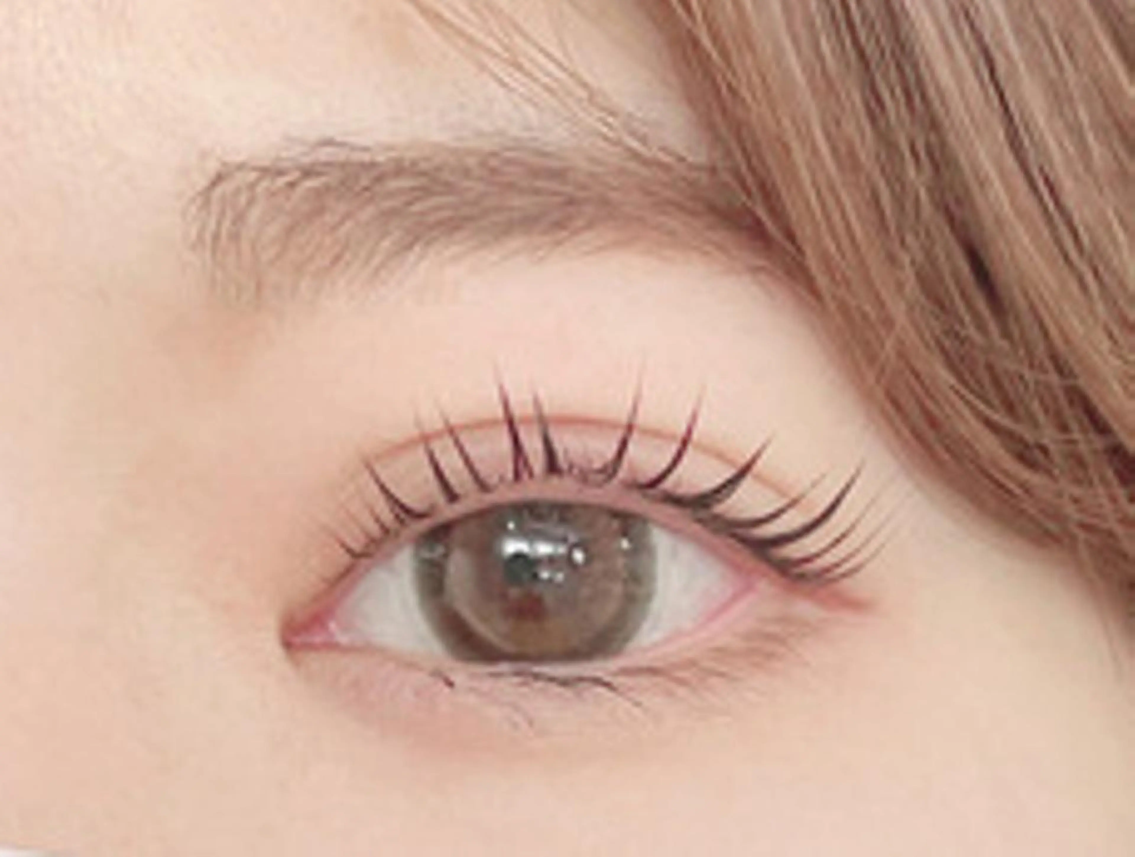 【 モデル募集 】まつげパーマ〈コーティング付〉￥2,000 ※オフ不可/現金でのお支払い限定※の写真
