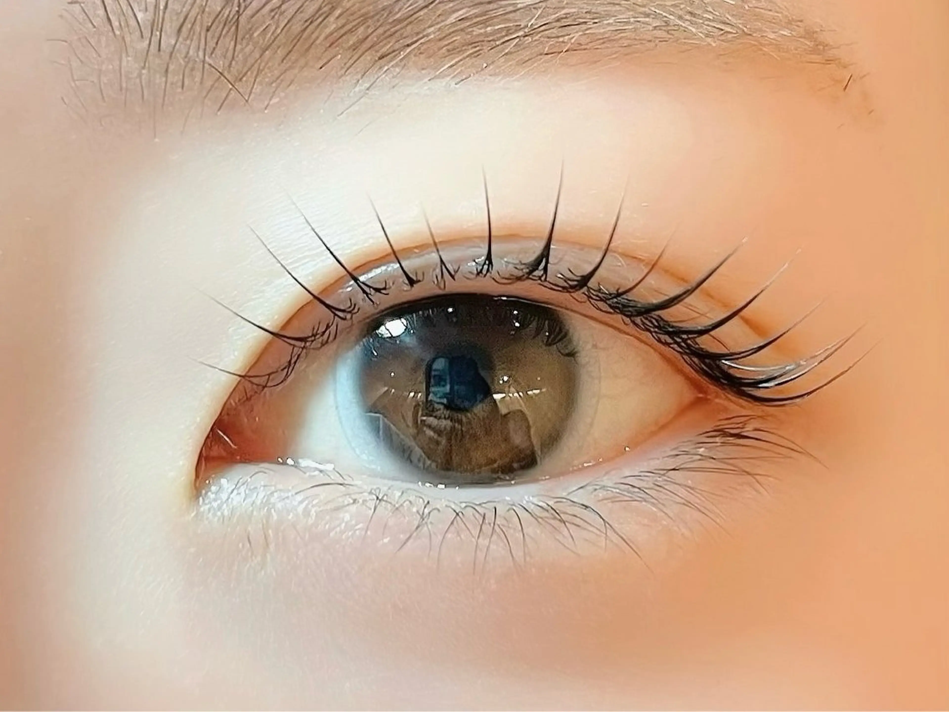 ãããšã¯ã»ããã sola: neoliveçç°ã®ãããšã¯ã»ããããã¶ã€ã³